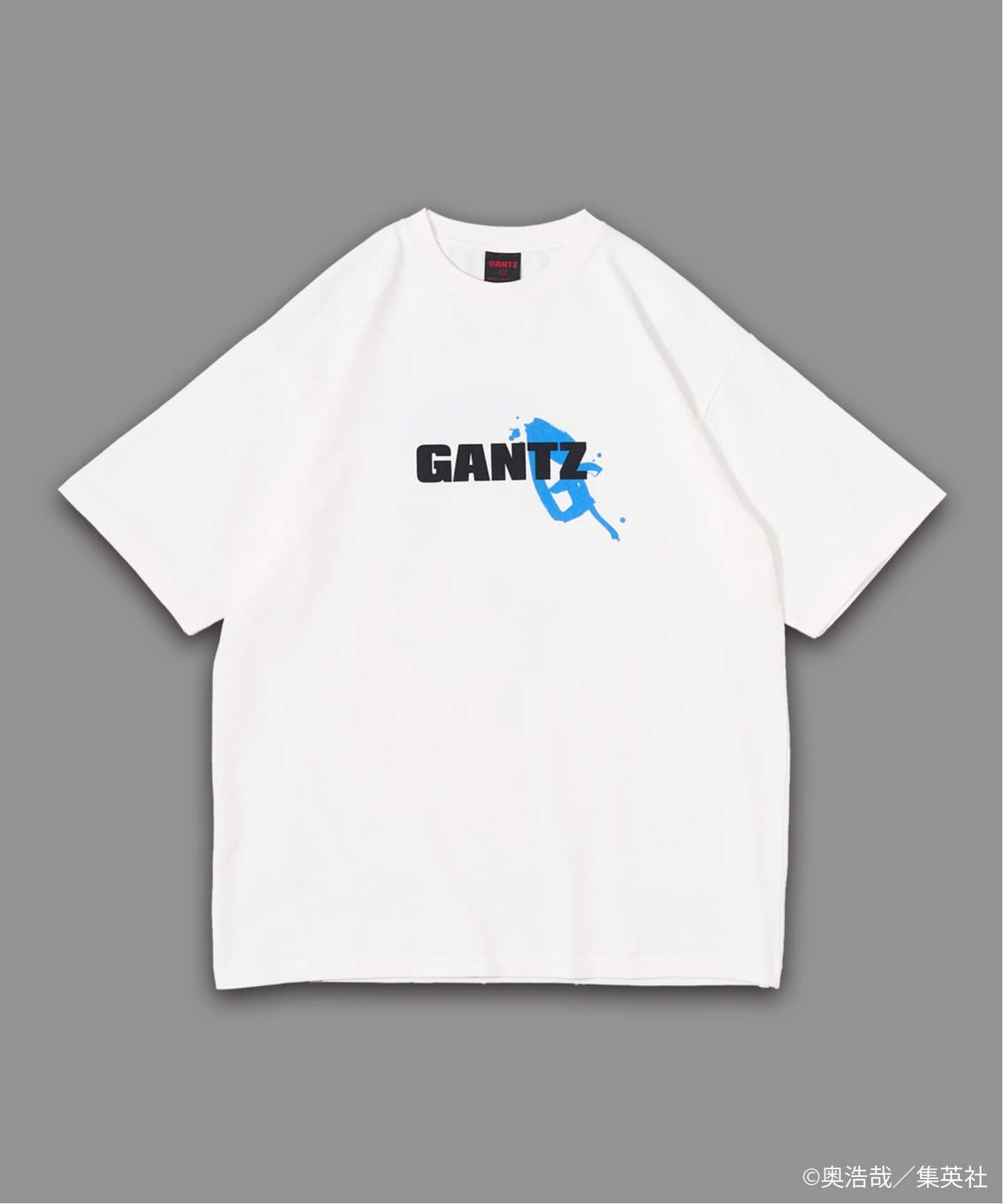 GANTZ / ガンツ 417別注 COLOR WORKS Tシャツ（Tシャツ／カットソー