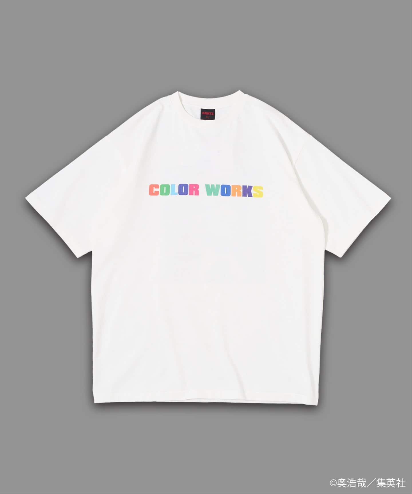 GANTZ / ガンツ 417別注 COLOR WORKS Tシャツ（Tシャツ／カットソー