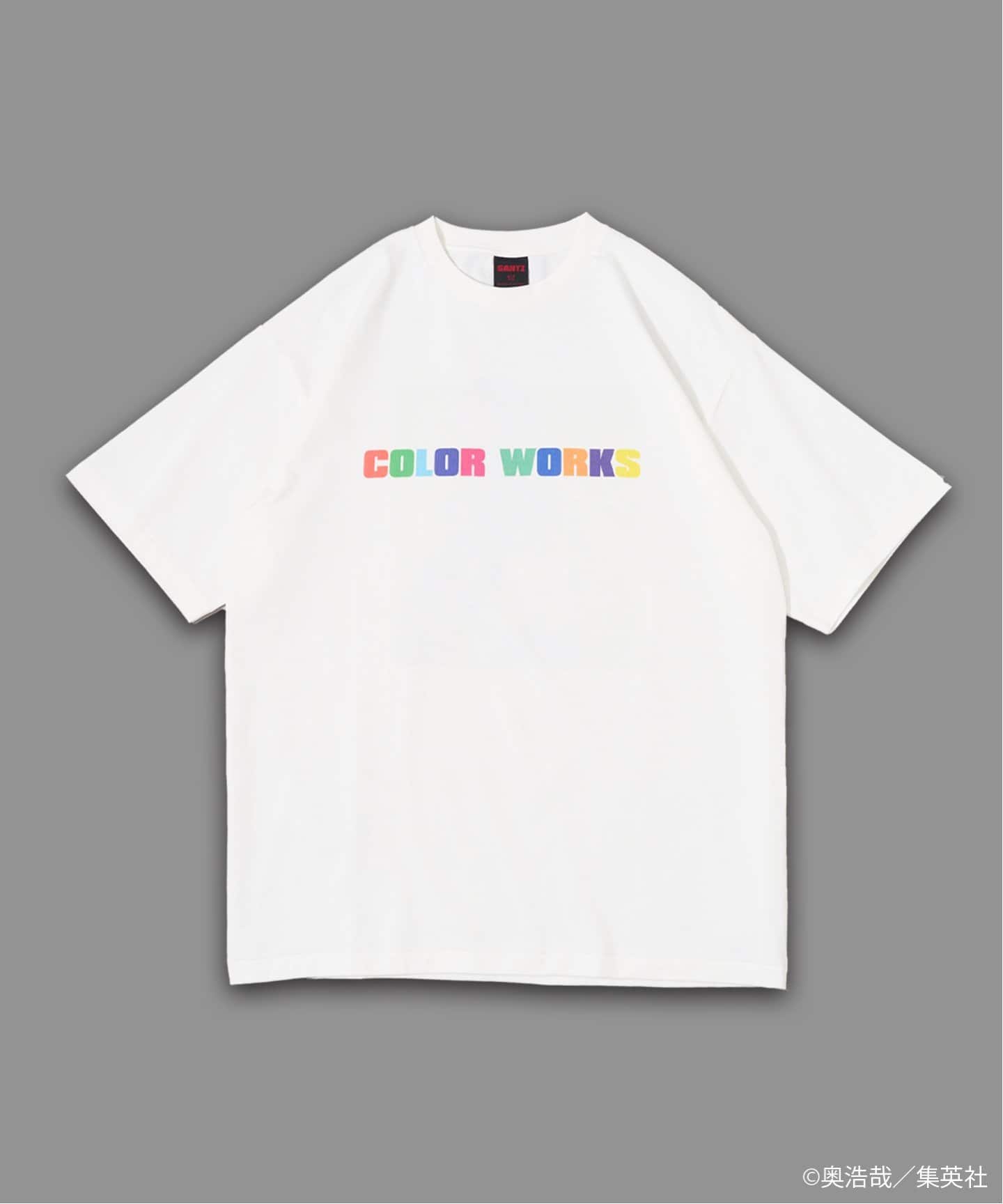GANTZ / ガンツ 417別注 COLOR WORKS Tシャツ（Tシャツ
