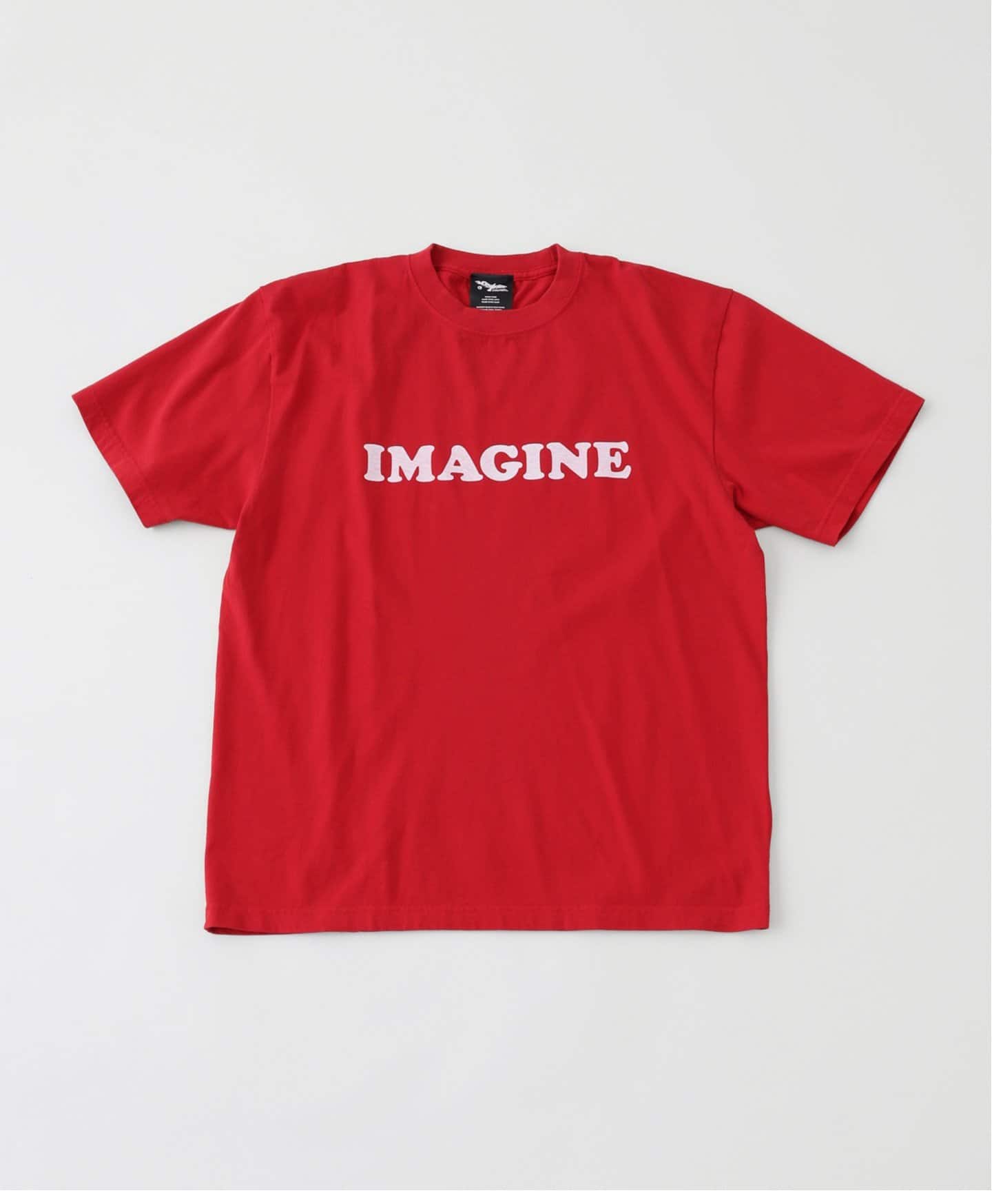 m*r様 Tシャツ(131417) AZUL BY MOUSSY | カレッジプリントビックTシャツ (Tシャツ