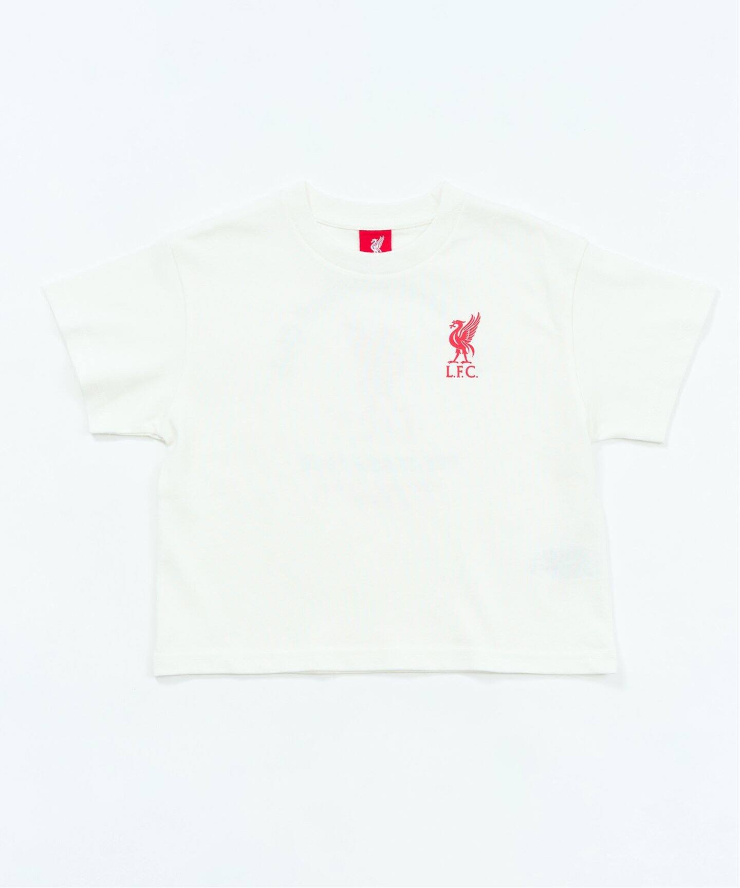 【希少サイズ8ＸＬ】adidas Liverpool FC シャツ リバプール Liverpool FC / リバプール FC】KIDS ASIAN FONT PRINT Tシャツ