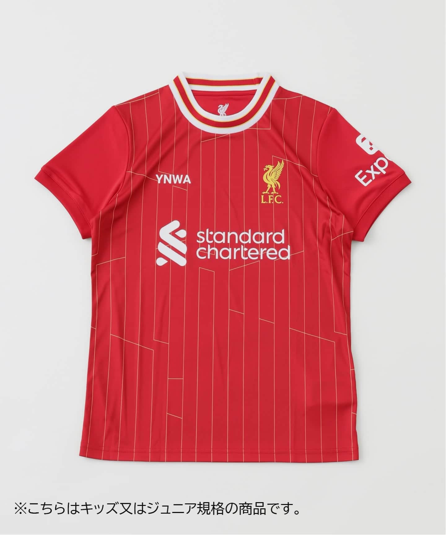 Liverpool FC｜リバプールエフシーのトップス（メンズ）の公式