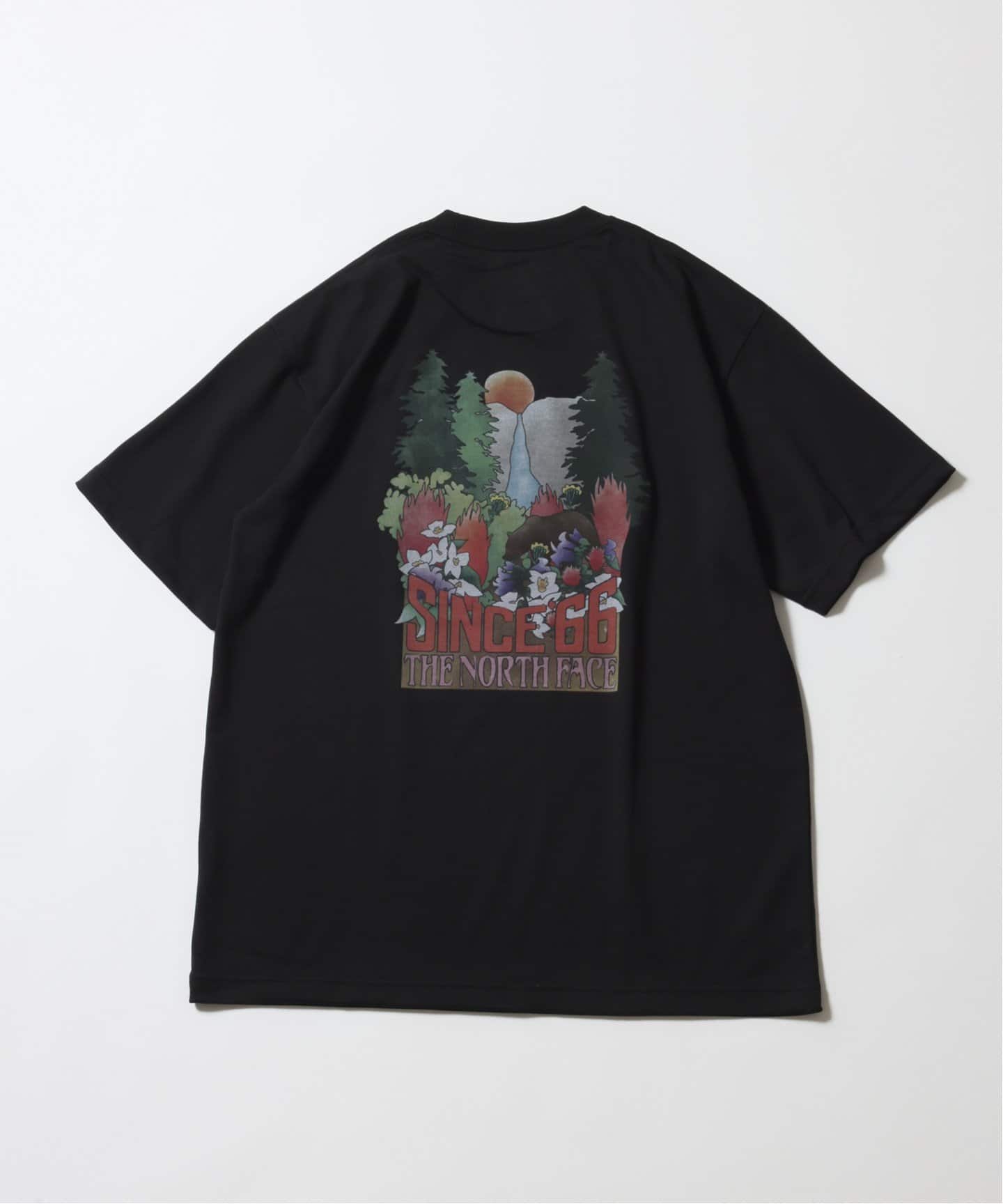 THE NORTH FACE ショートスリーブ ヨセミテ フォールズティー（T