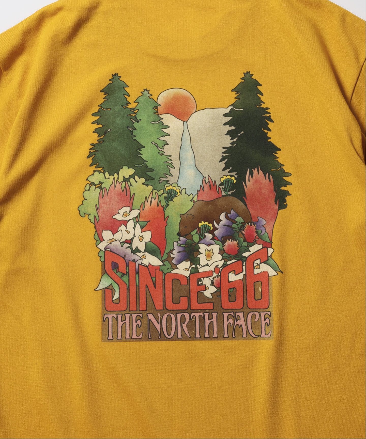 早い者勝ち!!! THE NORTH FACE ◆ S/S ヨセミテフォールズティー THE NORTH FACE〉S/S Yosemite Falls Tee(NT82540 ) | PUMP