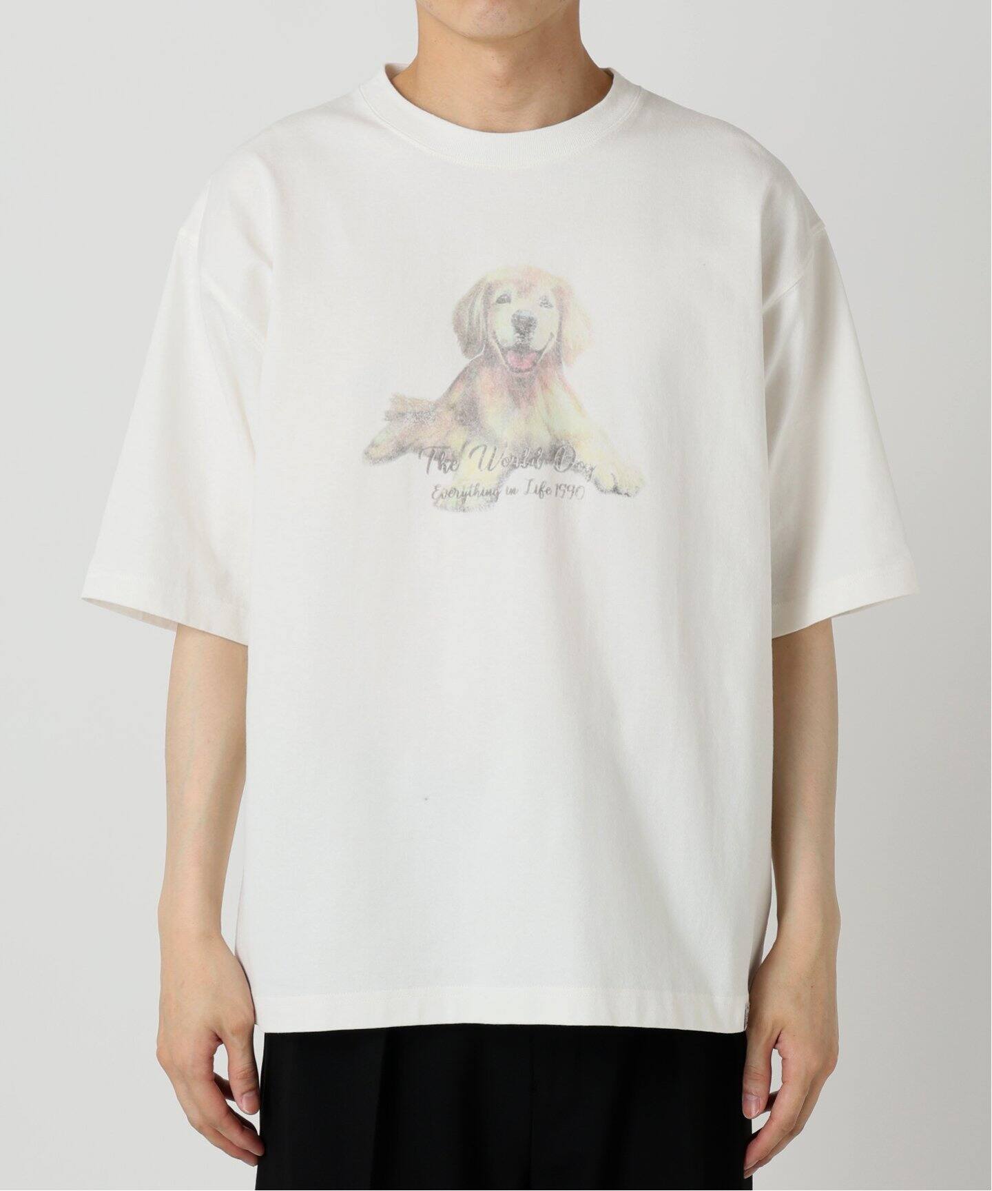 ベイクルーズストア　Tシャツ DRESS-Tシャツ（Tシャツ／カットソー）｜B.C STOCK（ベーセー