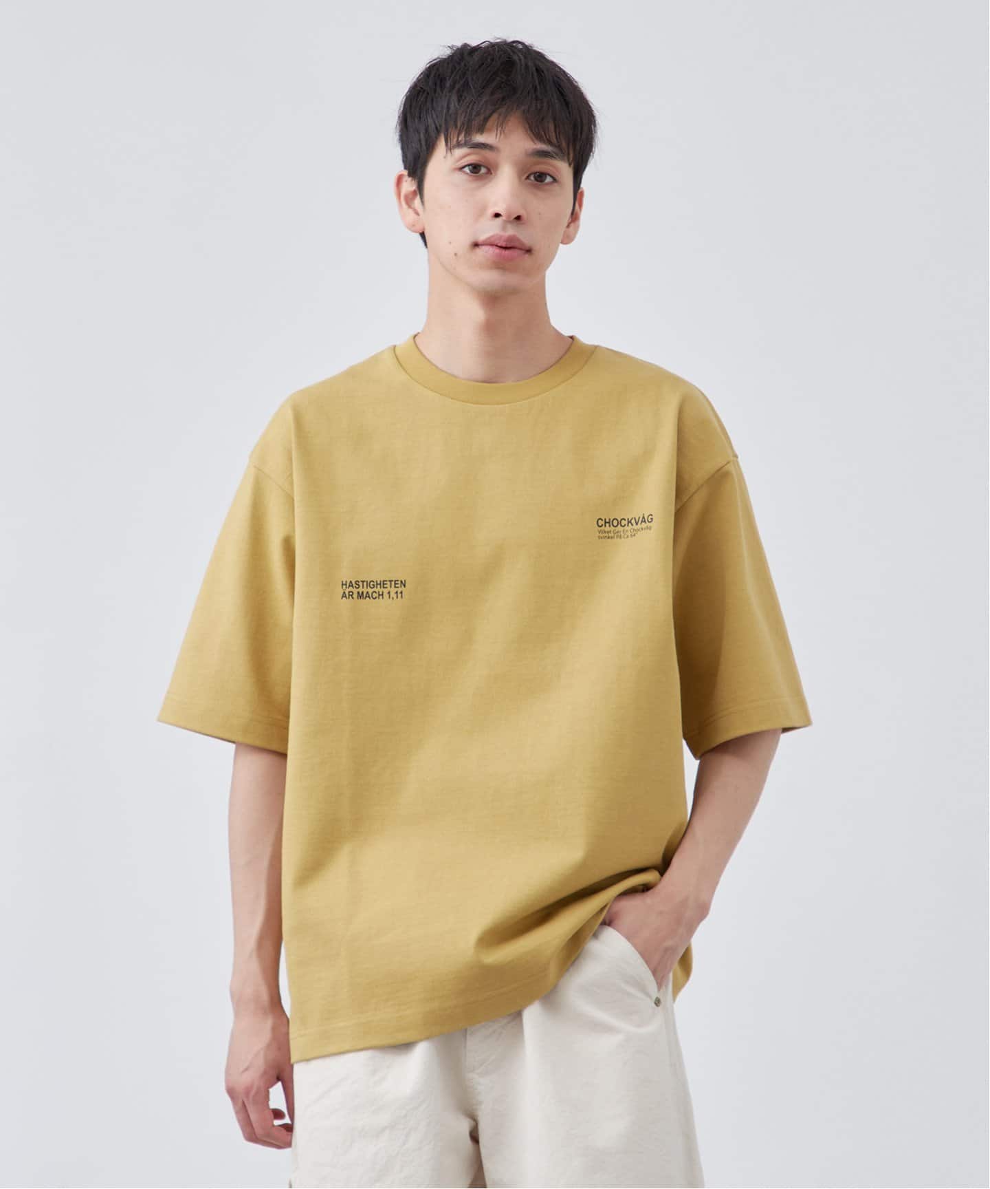 現行タグ✨定価7.5万✨バーバリー ホースフェリーシャツ 正規品 8023776 新品 タグ付き✨バーバリー 現行 Tシャツ ホースフェリー ロゴ
