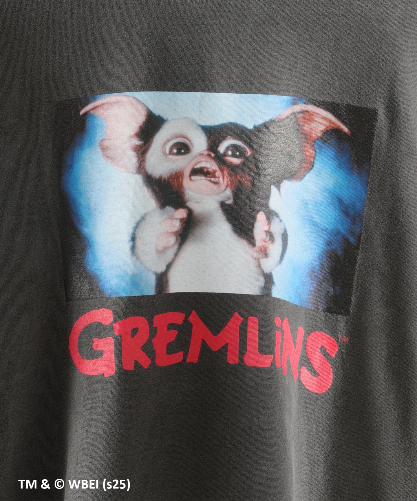 SCREEN STARS×JW別注GREMLiNS Tシャツ2（Tシャツ／カットソー