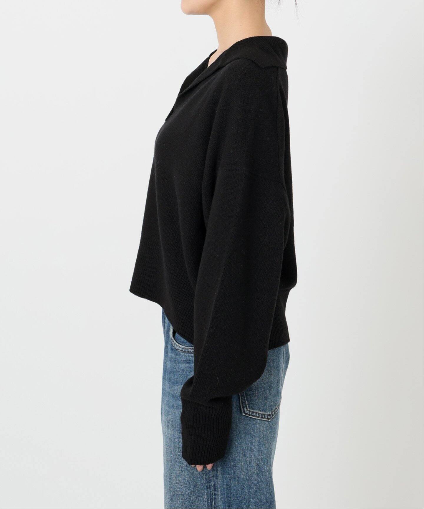 ウール混ポロシャツプルオーバー（ニット／セーター）｜Spick and Span