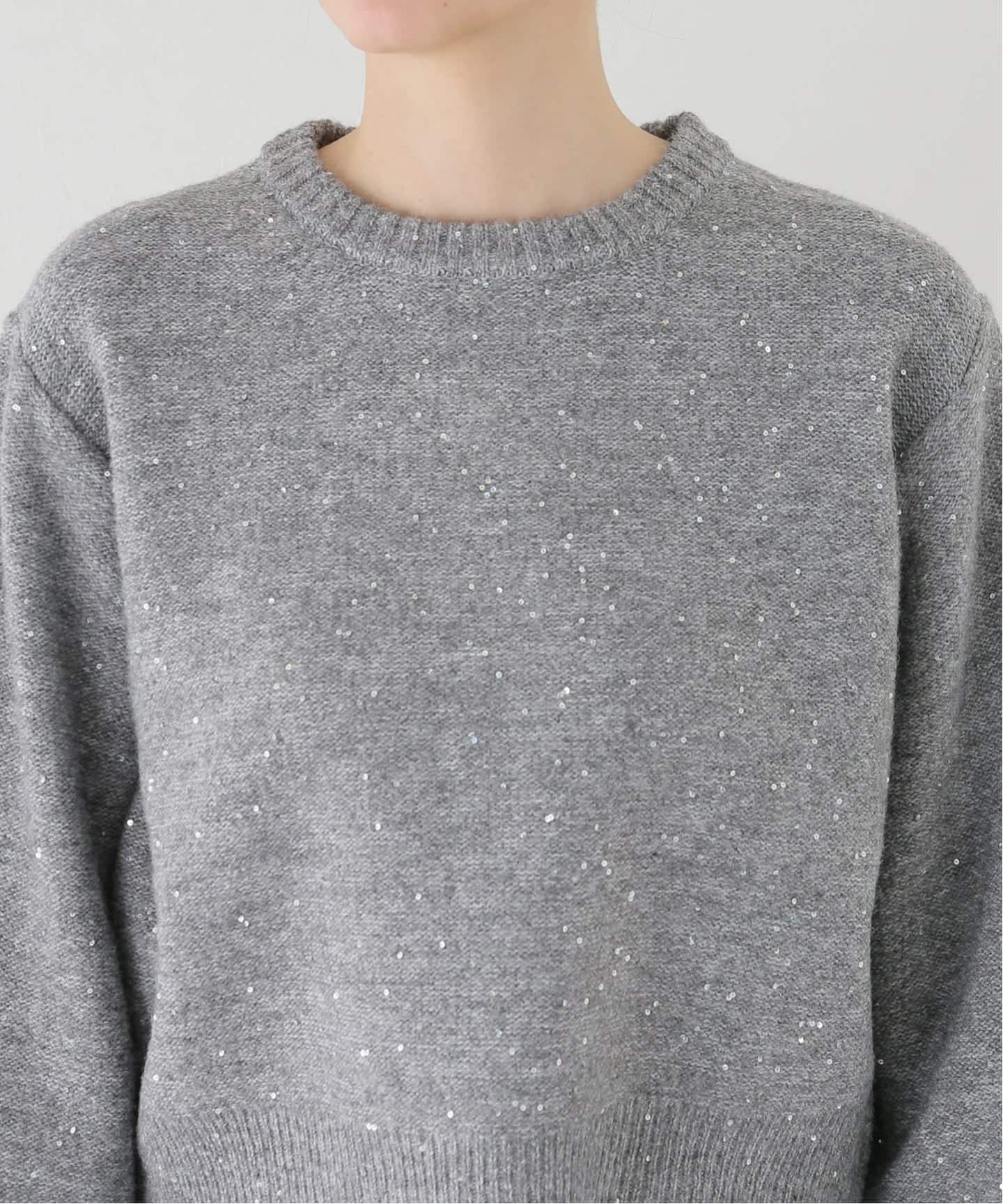 新色有り / 追加》スパンコールショート丈ニット（ニット／セーター