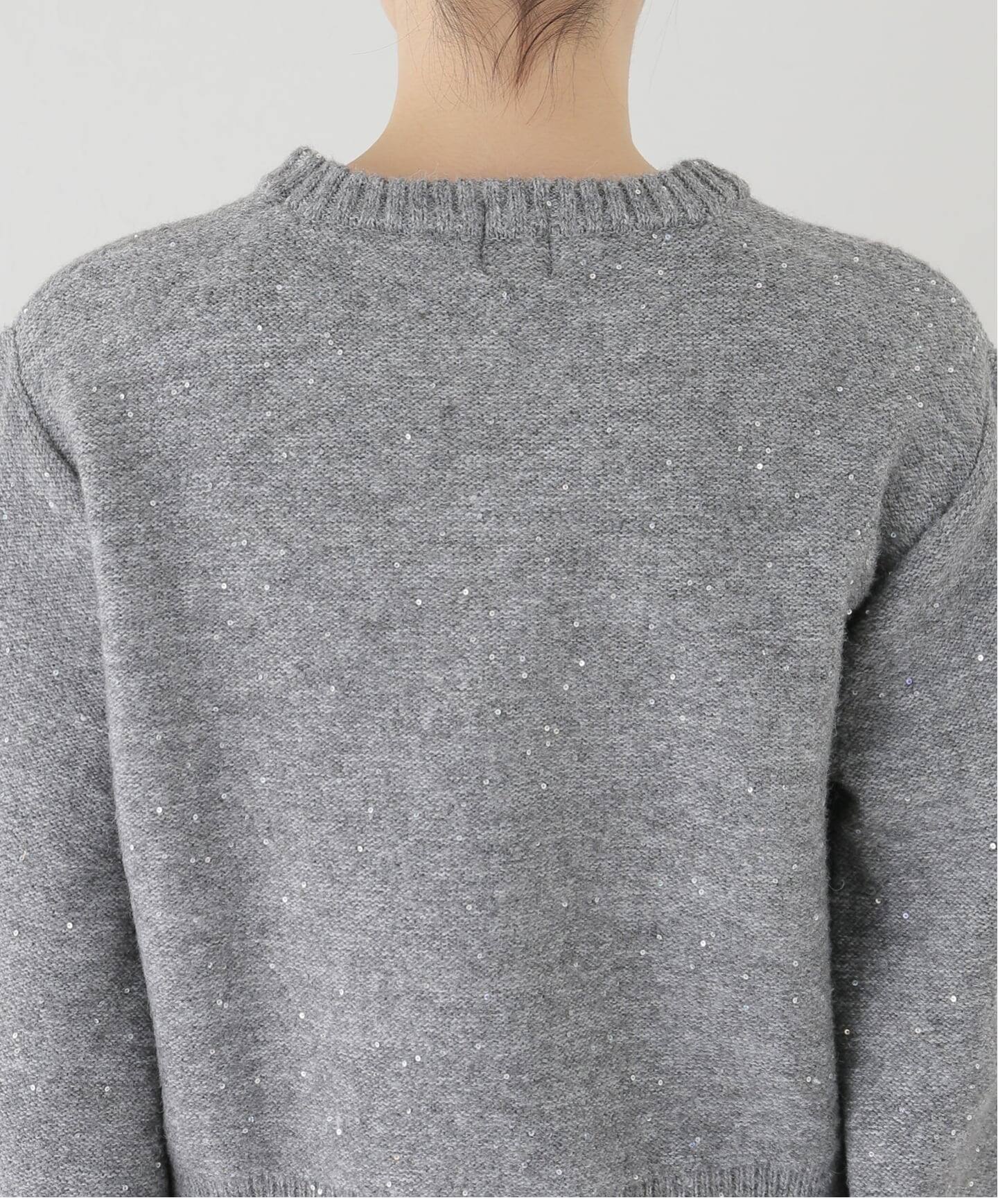 新色有り / 追加》スパンコールショート丈ニット（ニット／セーター