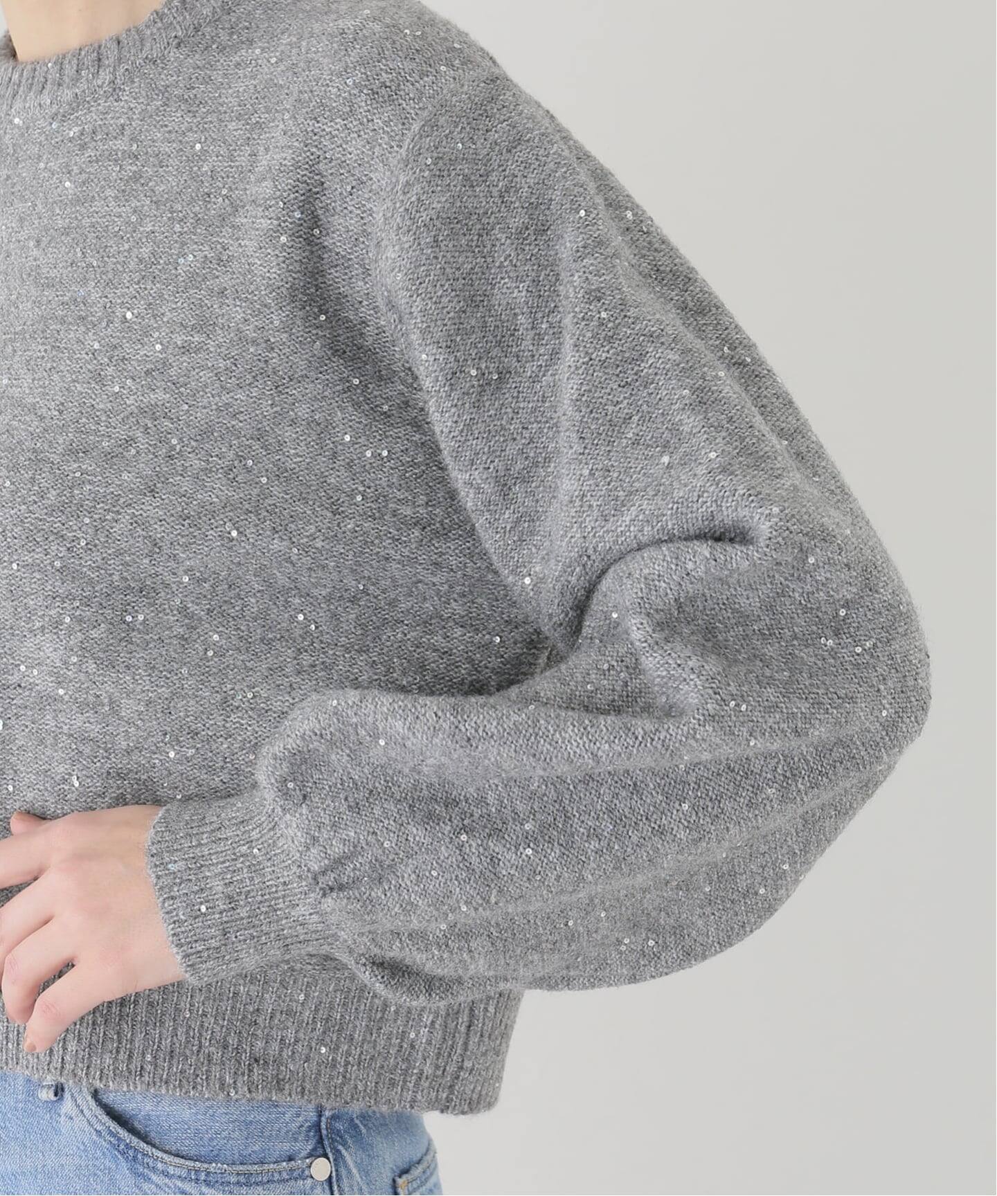 新色有り / 追加》スパンコールショート丈ニット（ニット／セーター