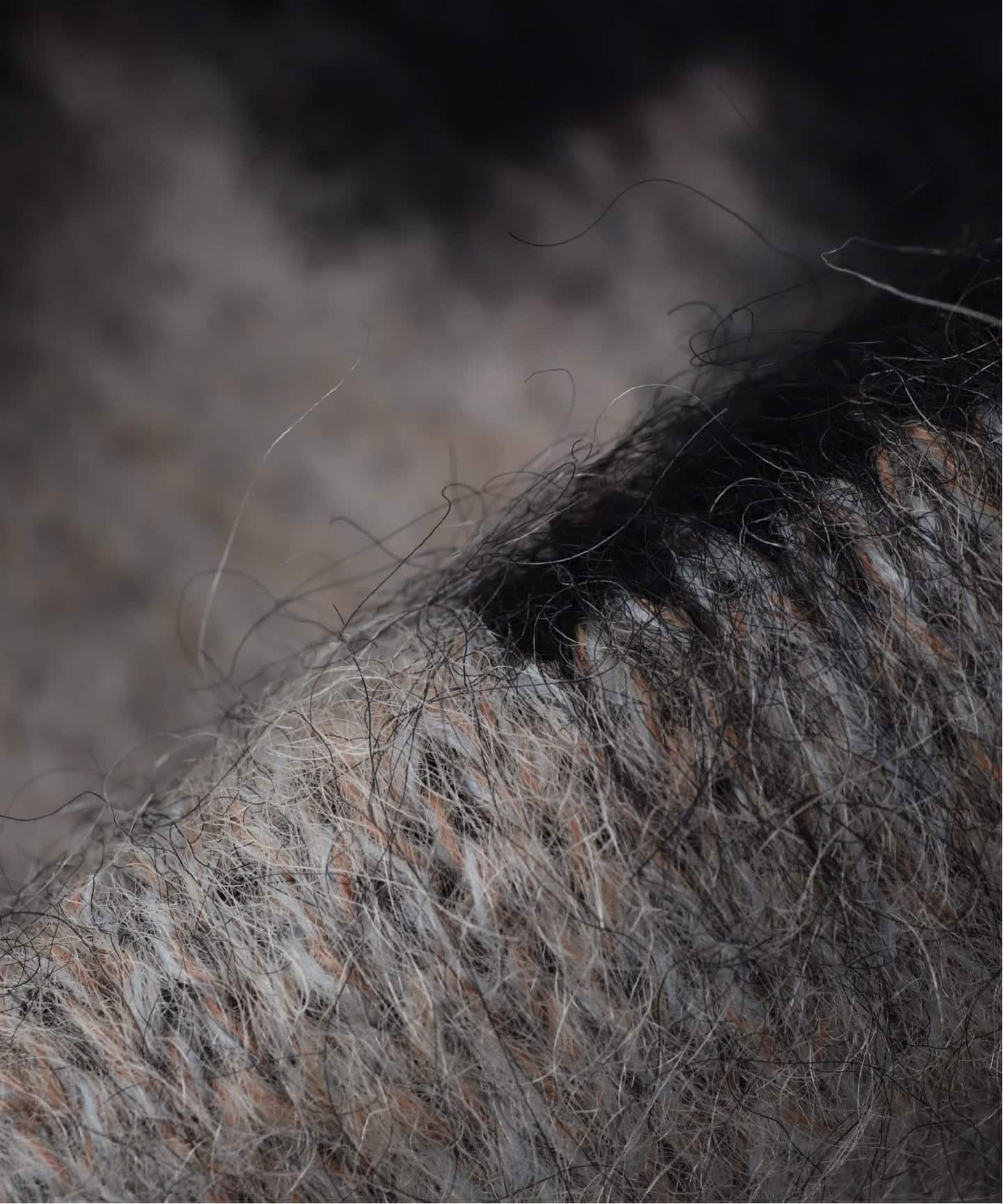 FAF (FAKE AS FLOWERS) / フェイク アズ フラワーズ HOUNDSTOOTH