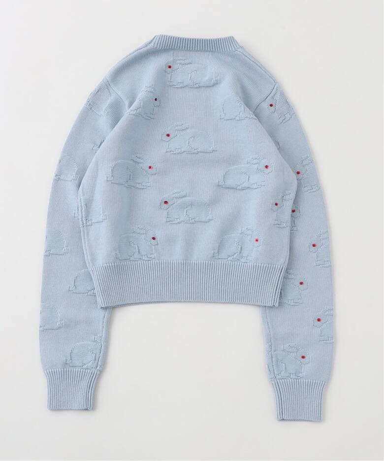 DAIRIKU / ダイリク Red-eyed Rabbit Tite Knit（ニット／セーター 