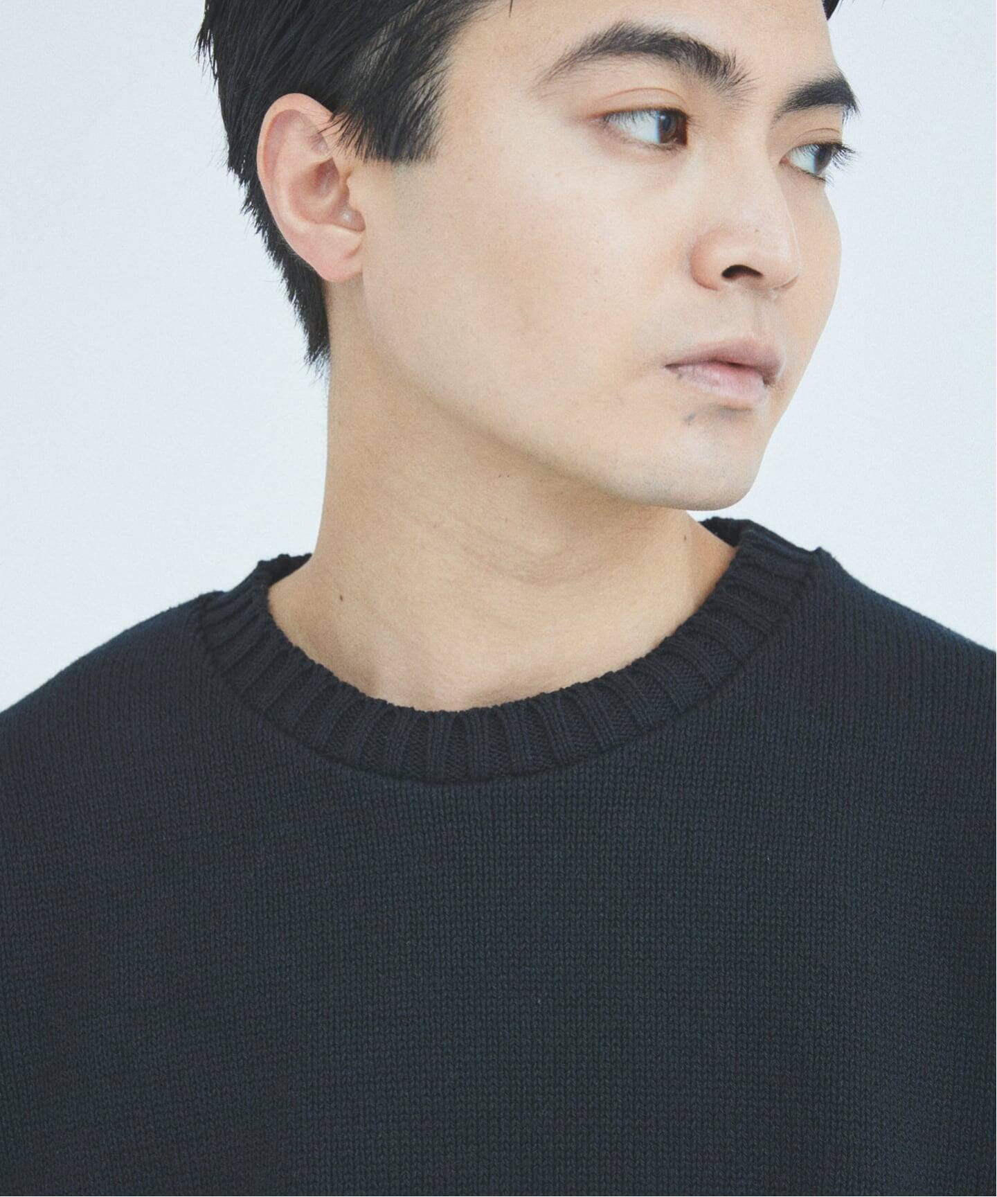 Stead / ホビー インターシャ ニット（ニット／セーター）｜JOURNAL