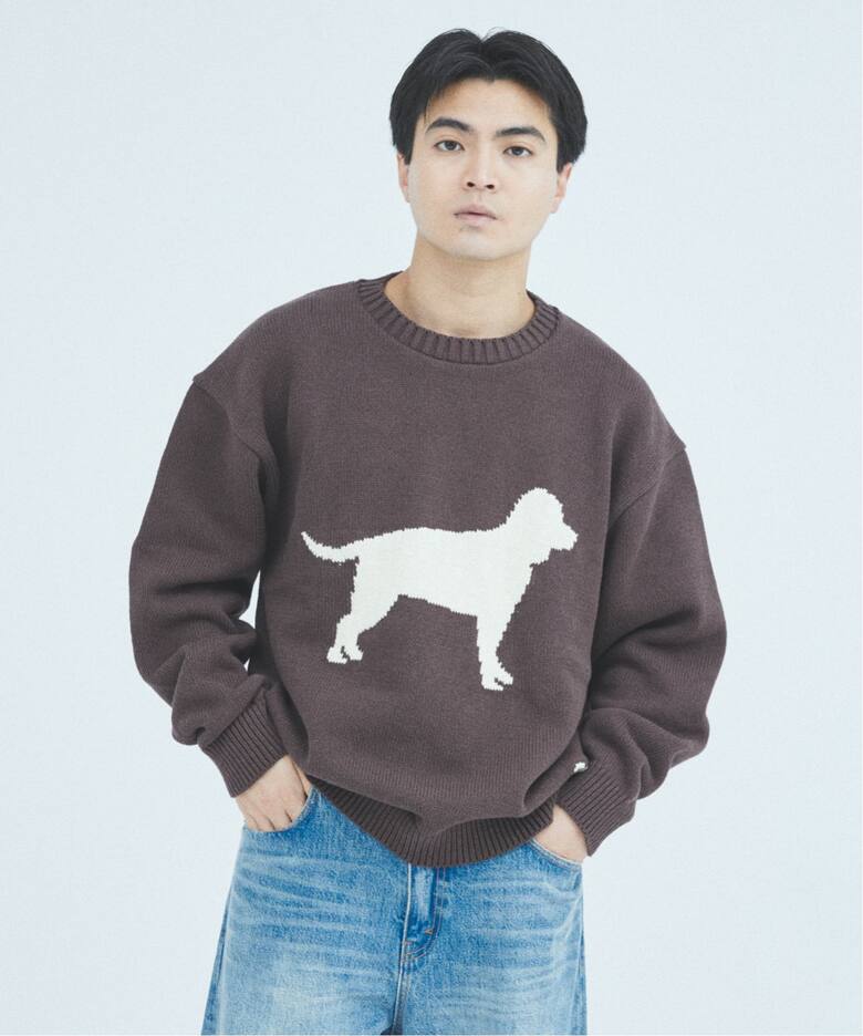 Stead / ホビー インターシャ ニット（ニット／セーター）｜JOURNAL 