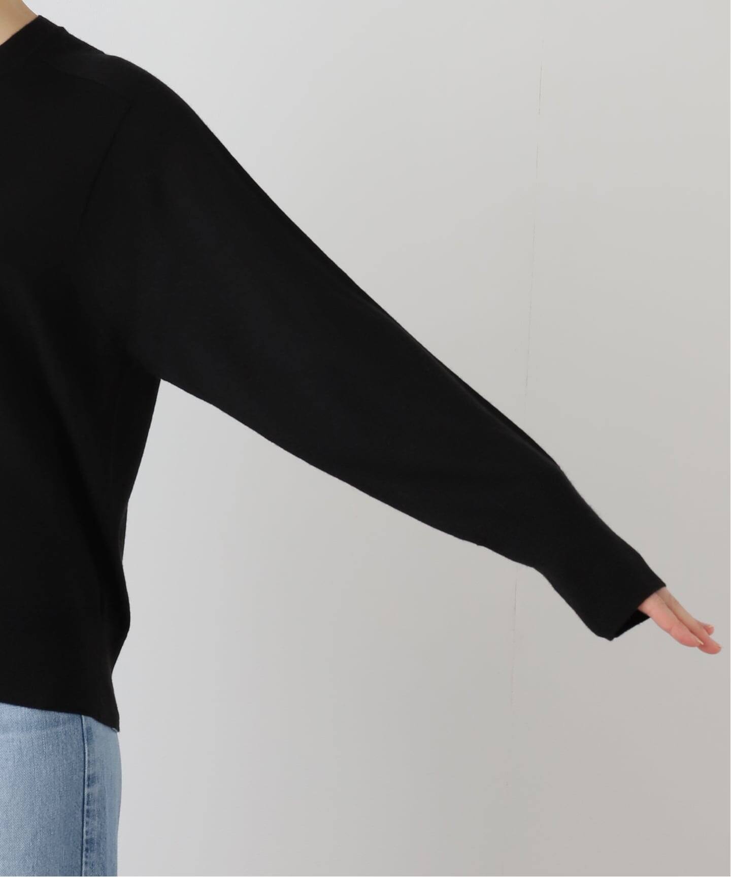 Wool Silk Cashmere Crewneck Knit（ニット／セーター）｜L