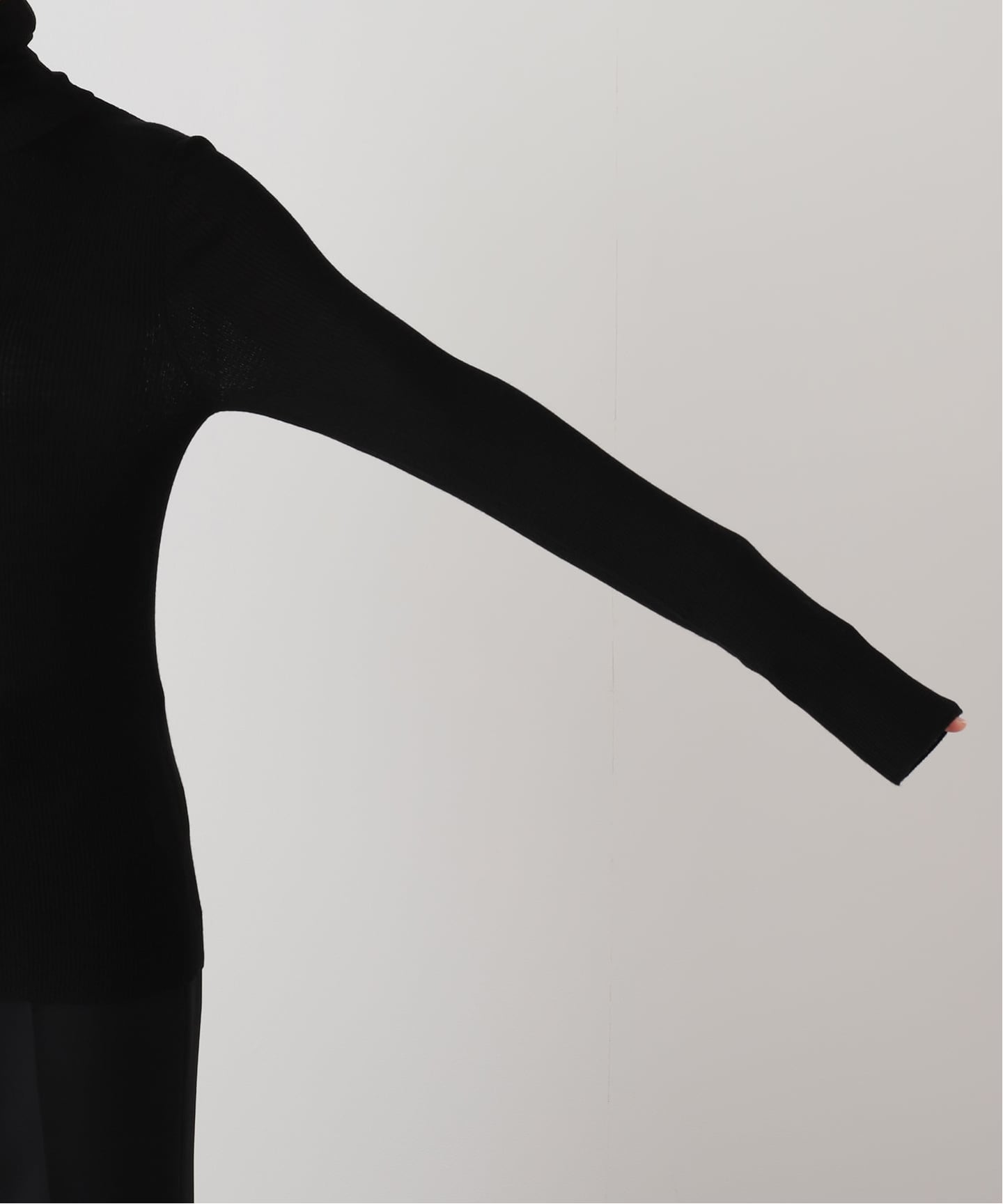 ウールシアーリブタートルネックプルオーバー（ニット／セーター）｜AP