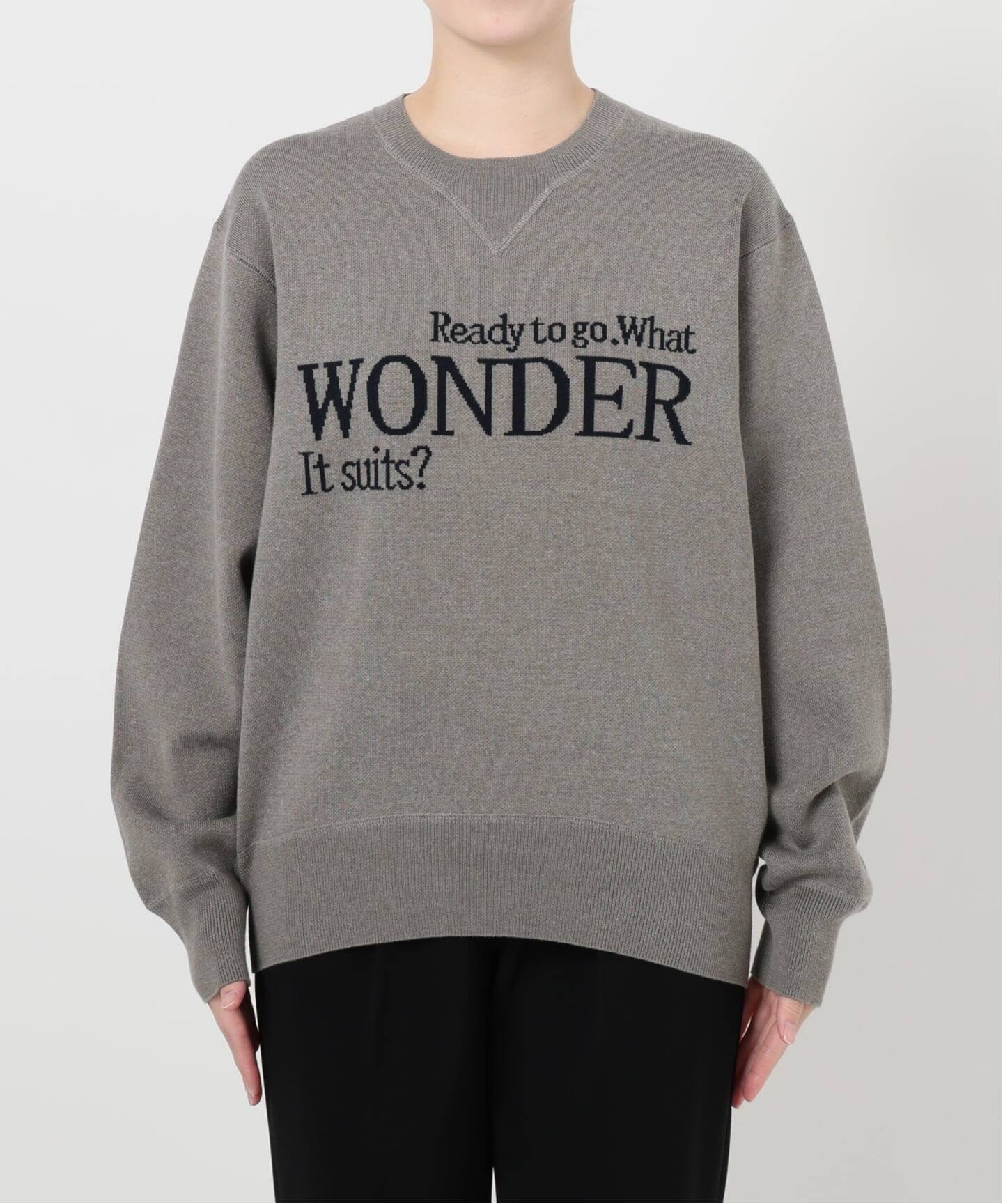 LOGO Knit プルオーバー（ニット／セーター）｜VERMEIL par iena