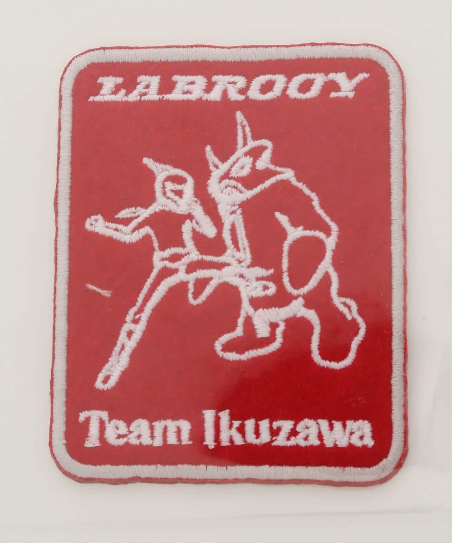 team ikuzawa チームイクザワ限定　完売品　希少 Team Ikuzawa(チームイクザワ) TI T SHIRT（Tシャツ／カットソー
