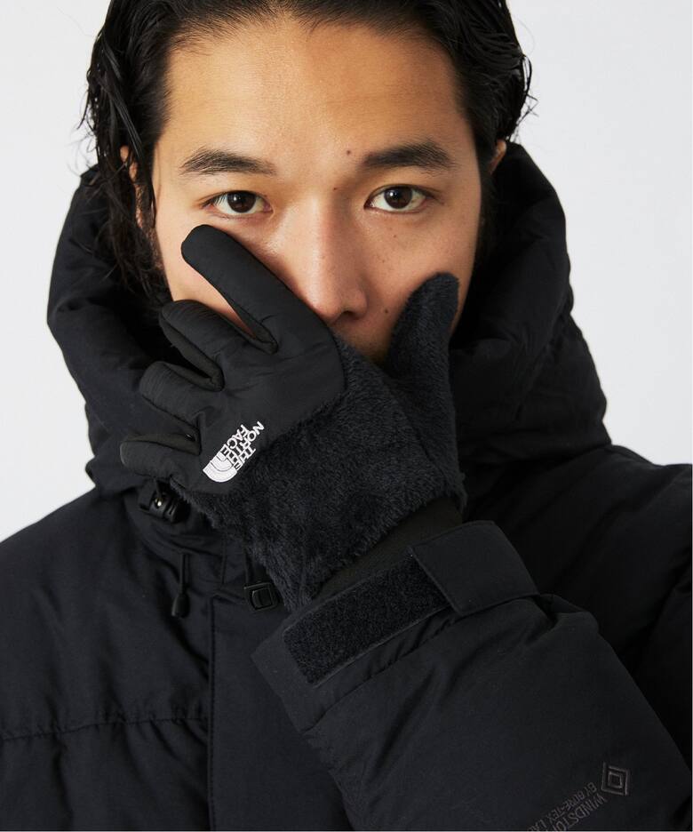 THE NORTH FACE / ザノースフェイス デナリイーチップグローブ NN62312 