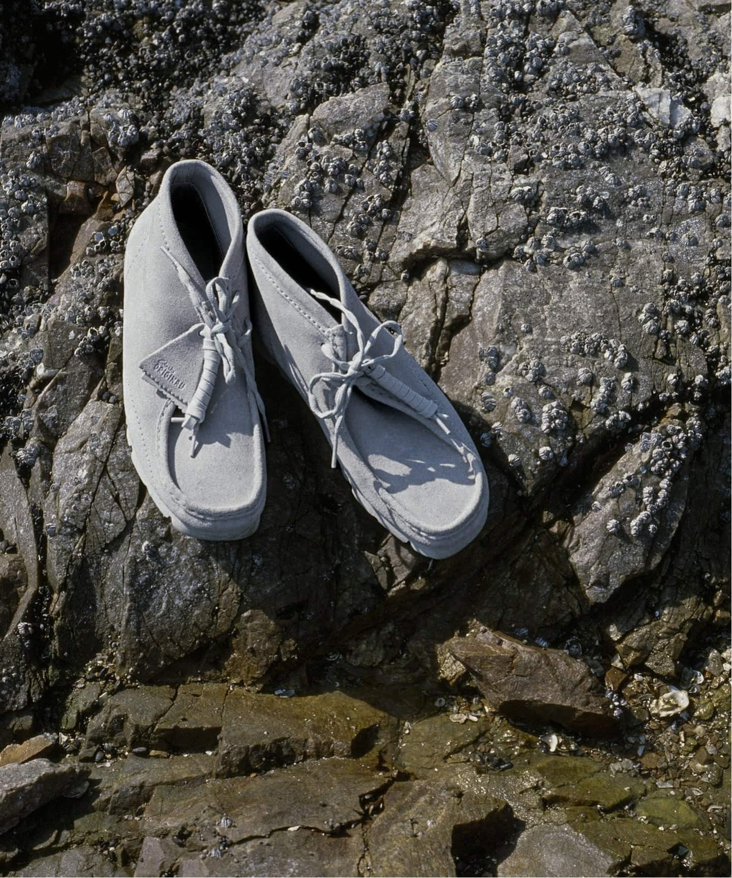 Clarks WallabeeBT PAF 26186607（ブーティ・ショートブーツ