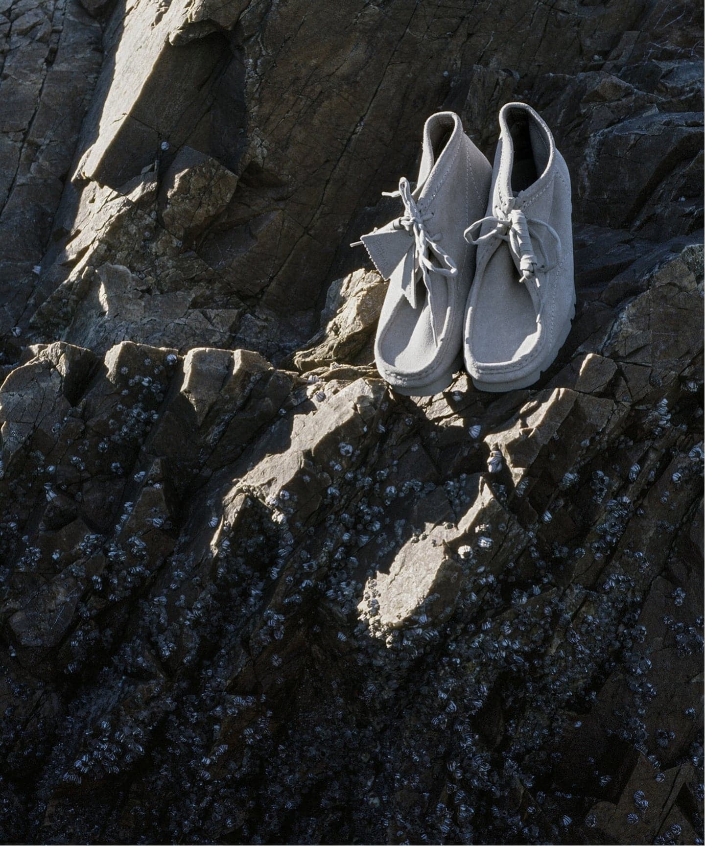 Clarks WallabeeBT PAF 26186607（ブーティ・ショートブーツ