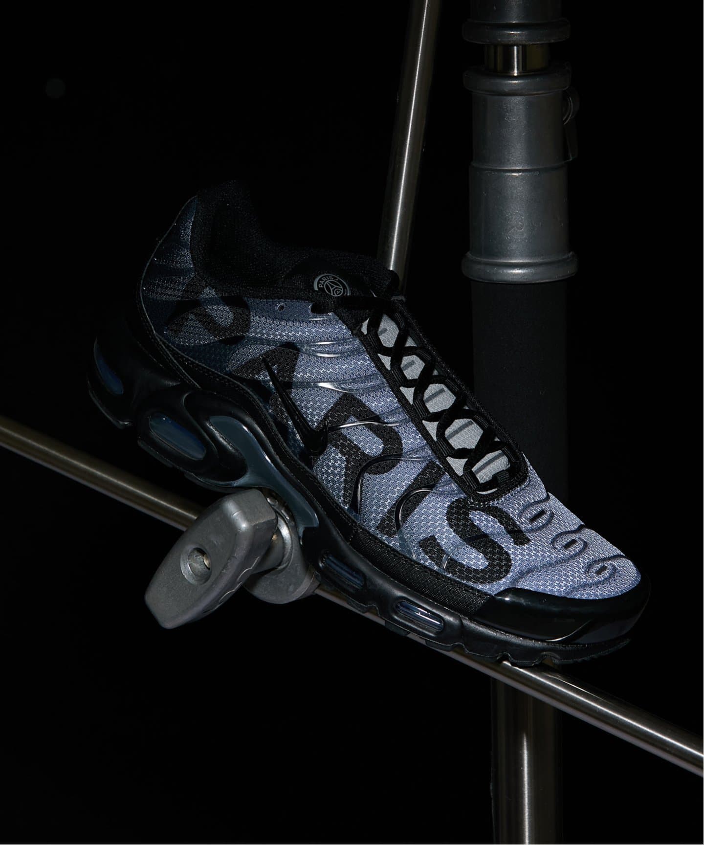 NIKE / ナイキ】 AIR MAX PLUS PRM IB2253- 001（スニーカー