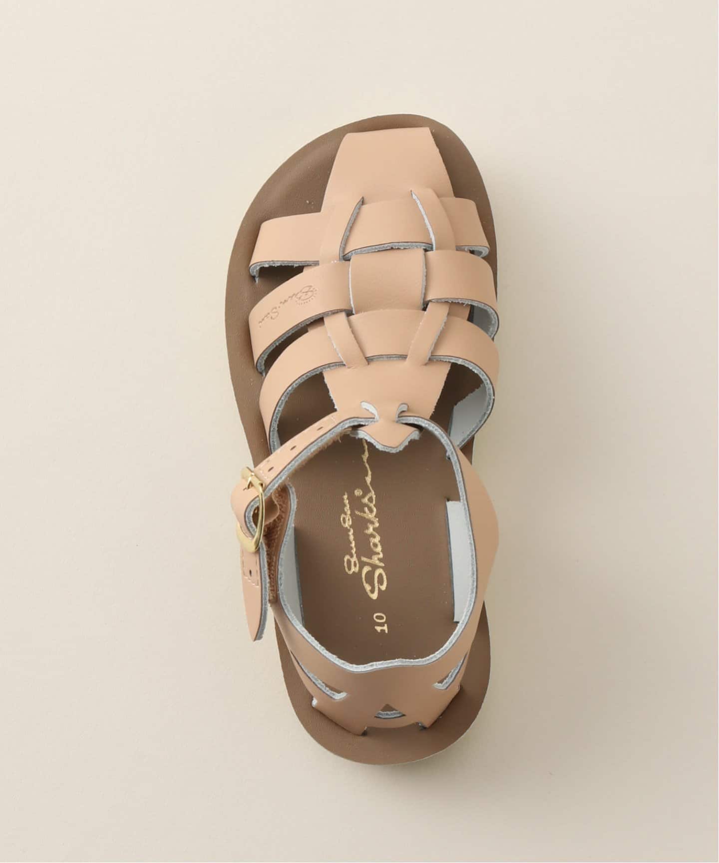 SALT WATER/ソルトウォーター】SS Shark baby-kids(15cm-19cm