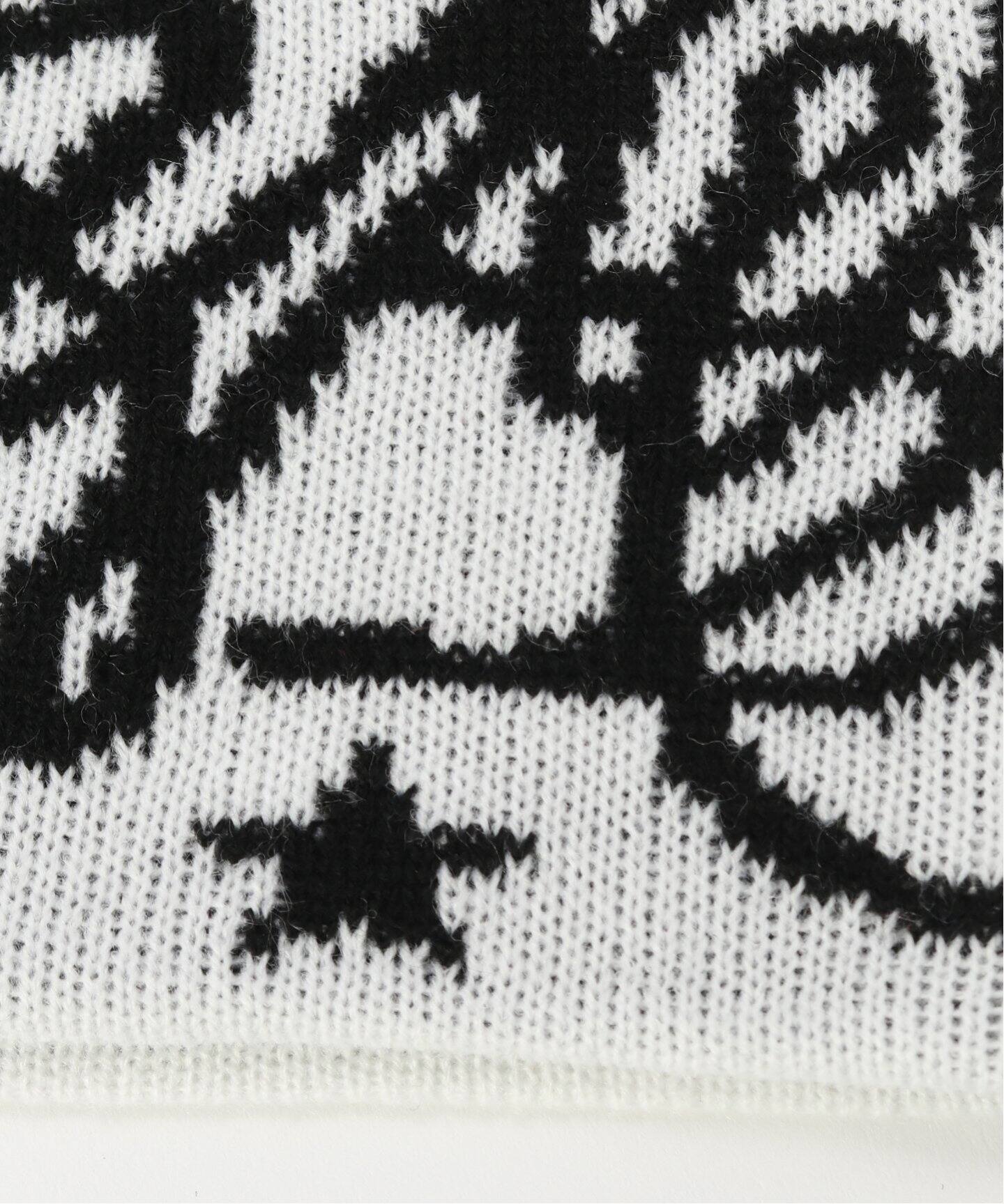 AFB / エーエフビー SIGNATURE BEANIE（ニットキャップ