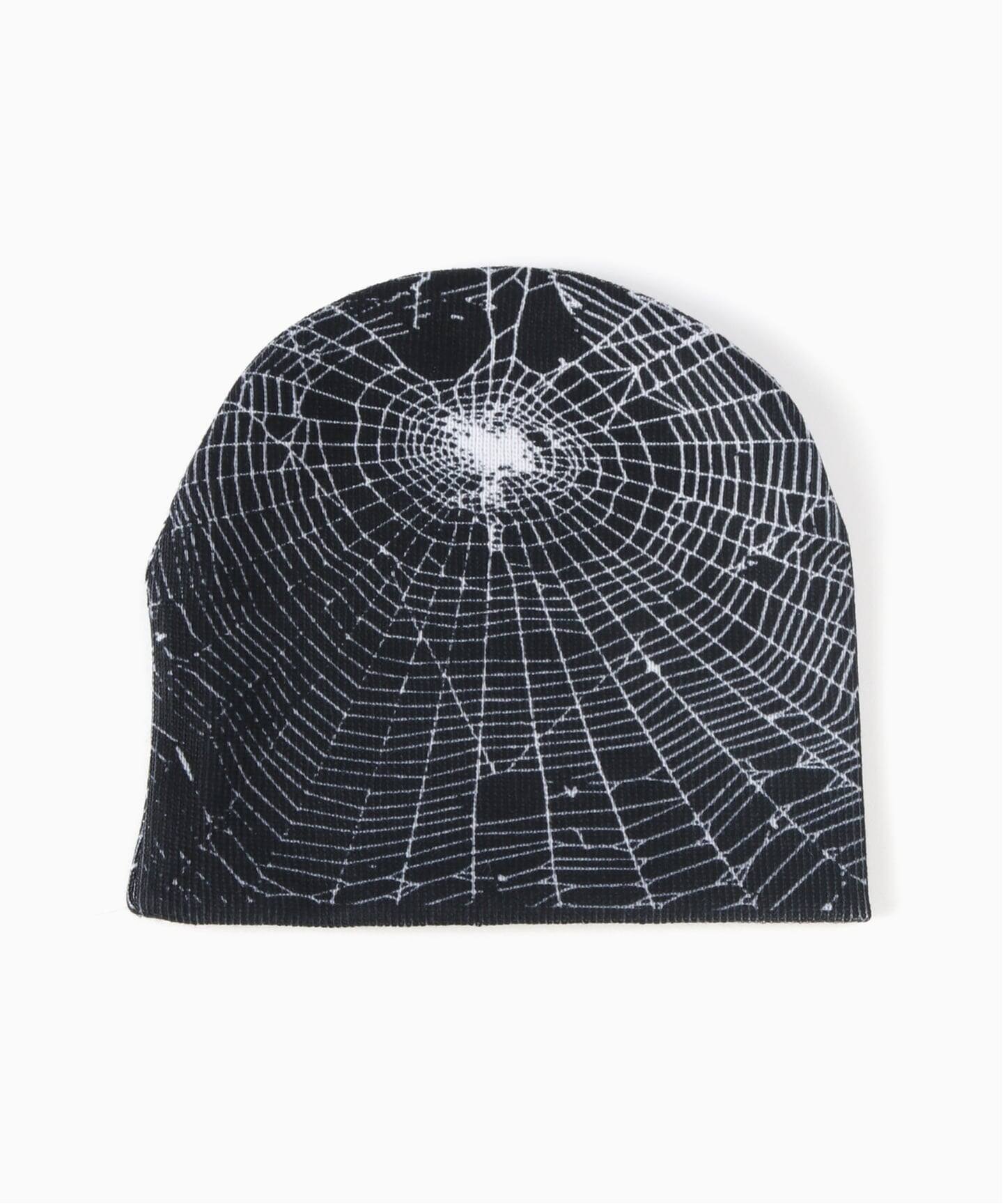 Earl Skateboards / アール スケートボーズ ビーニー（ニットキャップ