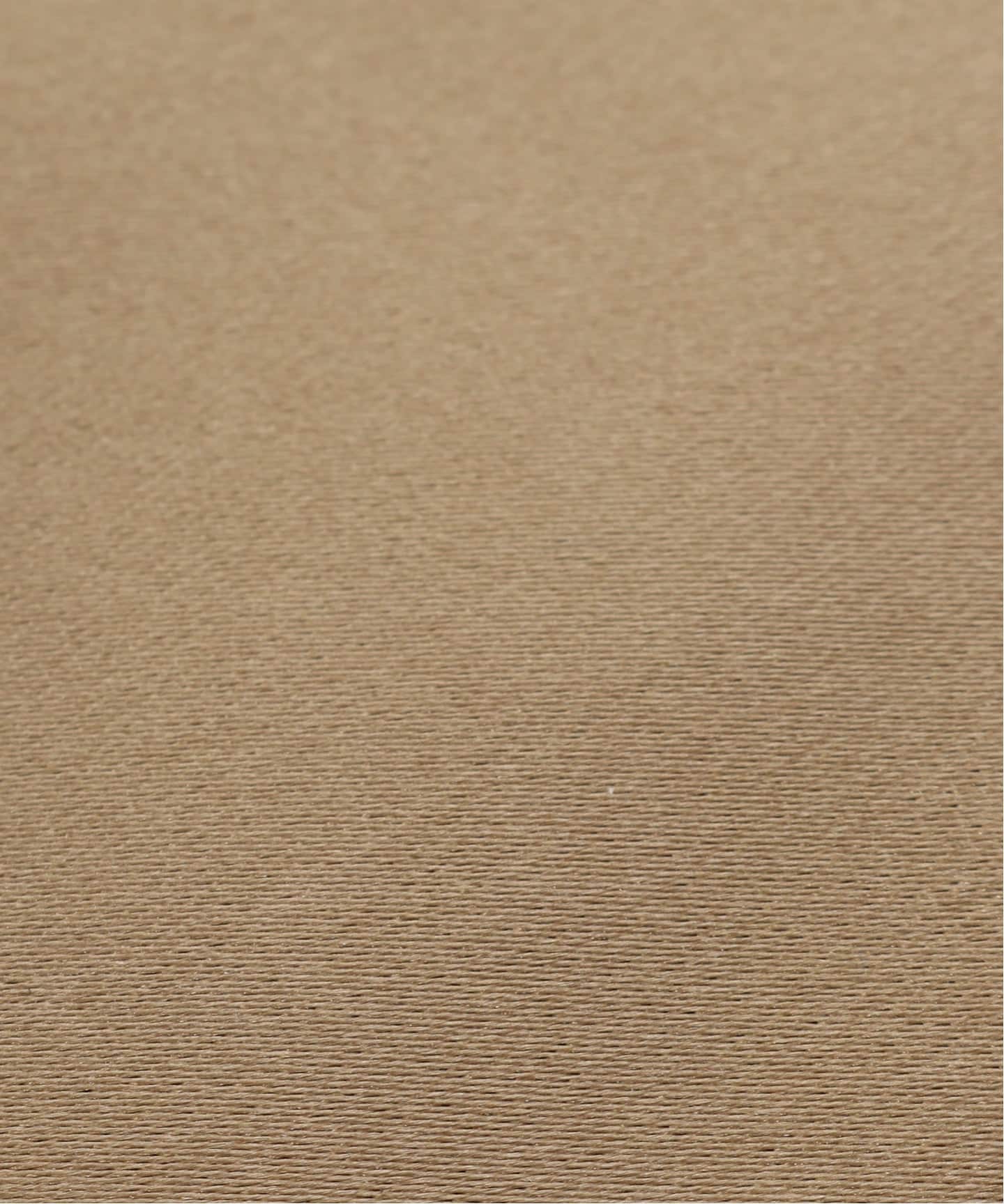 AX サテンシャンパンタイ（ネクタイ）｜EDIFICE（エディフィス）の通販