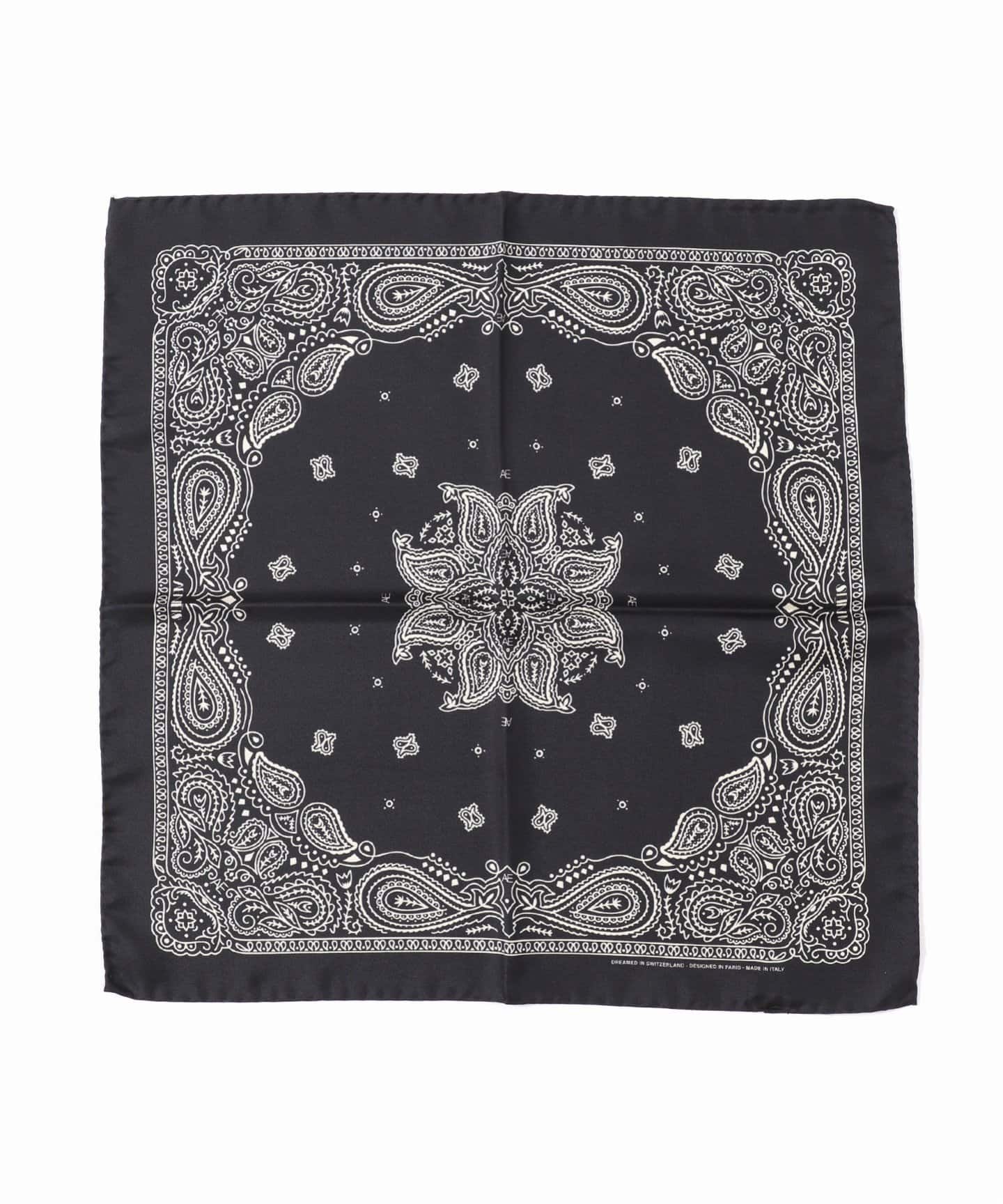 AENEIS/エネス】MINIMAL BANDANA SILK SCARF 48CM：スカーフ（スカーフ