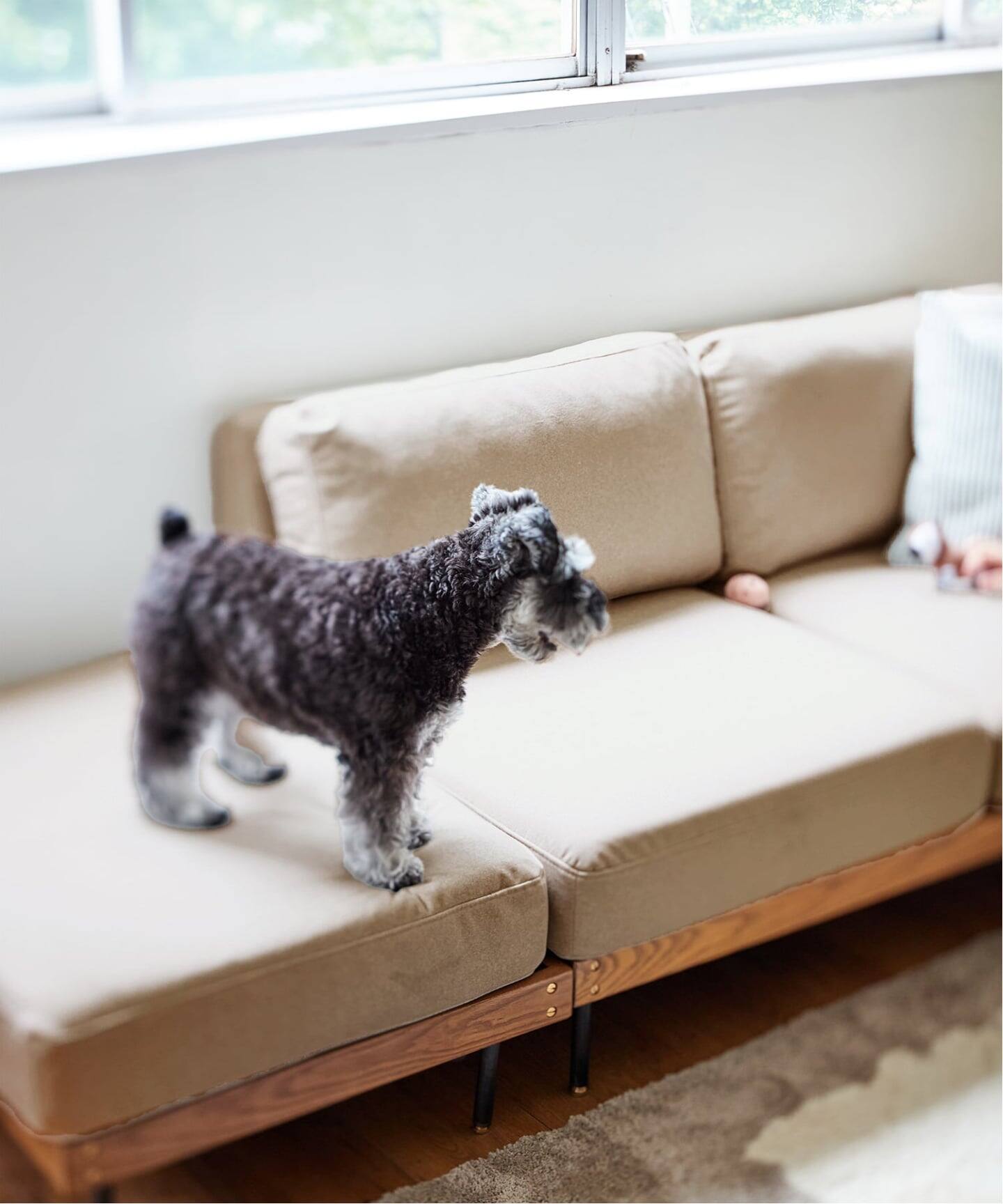 大型商品》LILLE SOFA 2P 25AW Fabric(I) リルソファ（ソファ