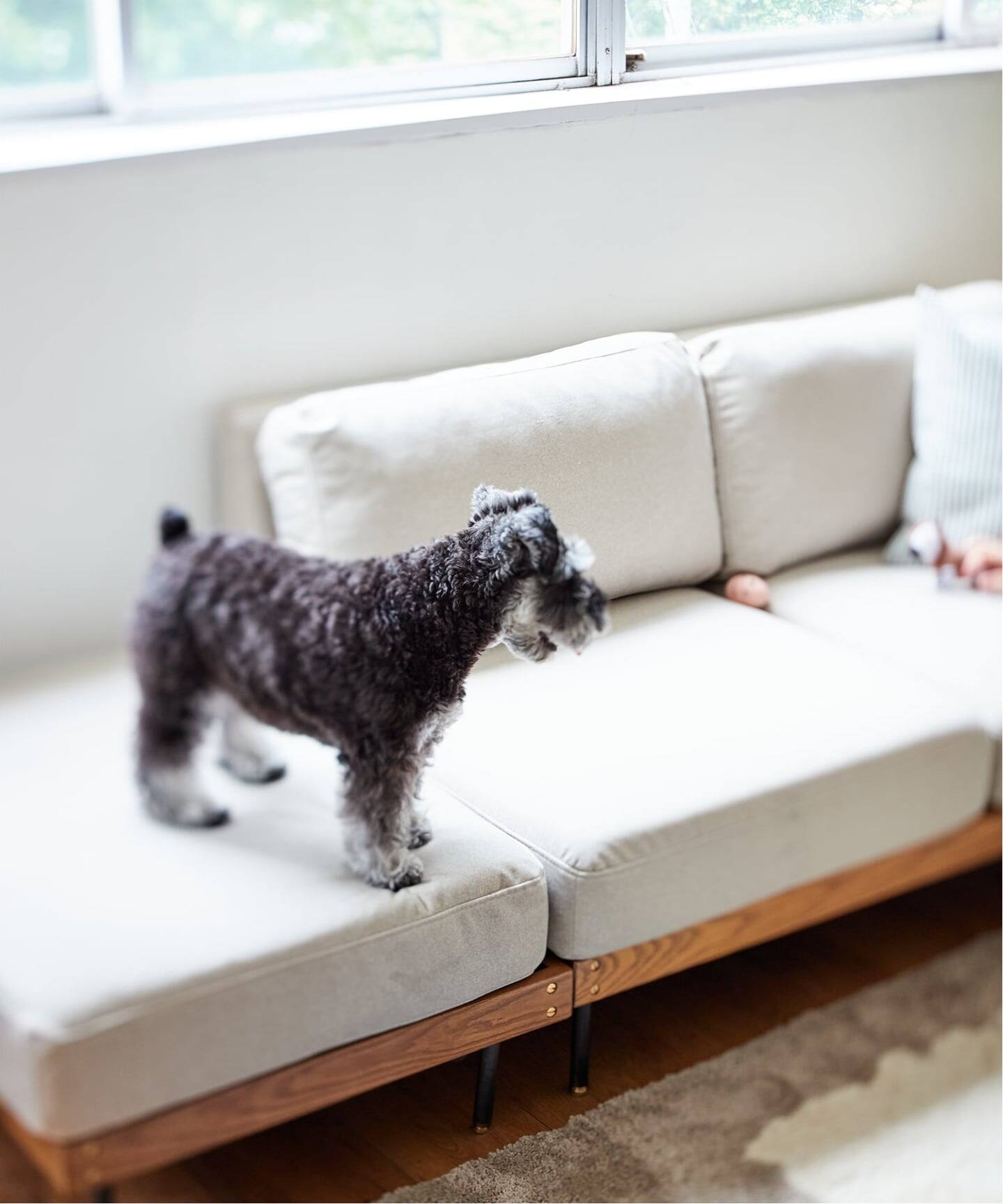 ジャーナルスタンダード　オットマン LILLE リル 　ソファ　ホワイト　北欧 楽天市場】JOURNAL STANDARD FURNITURE ジャーナルスタンダード