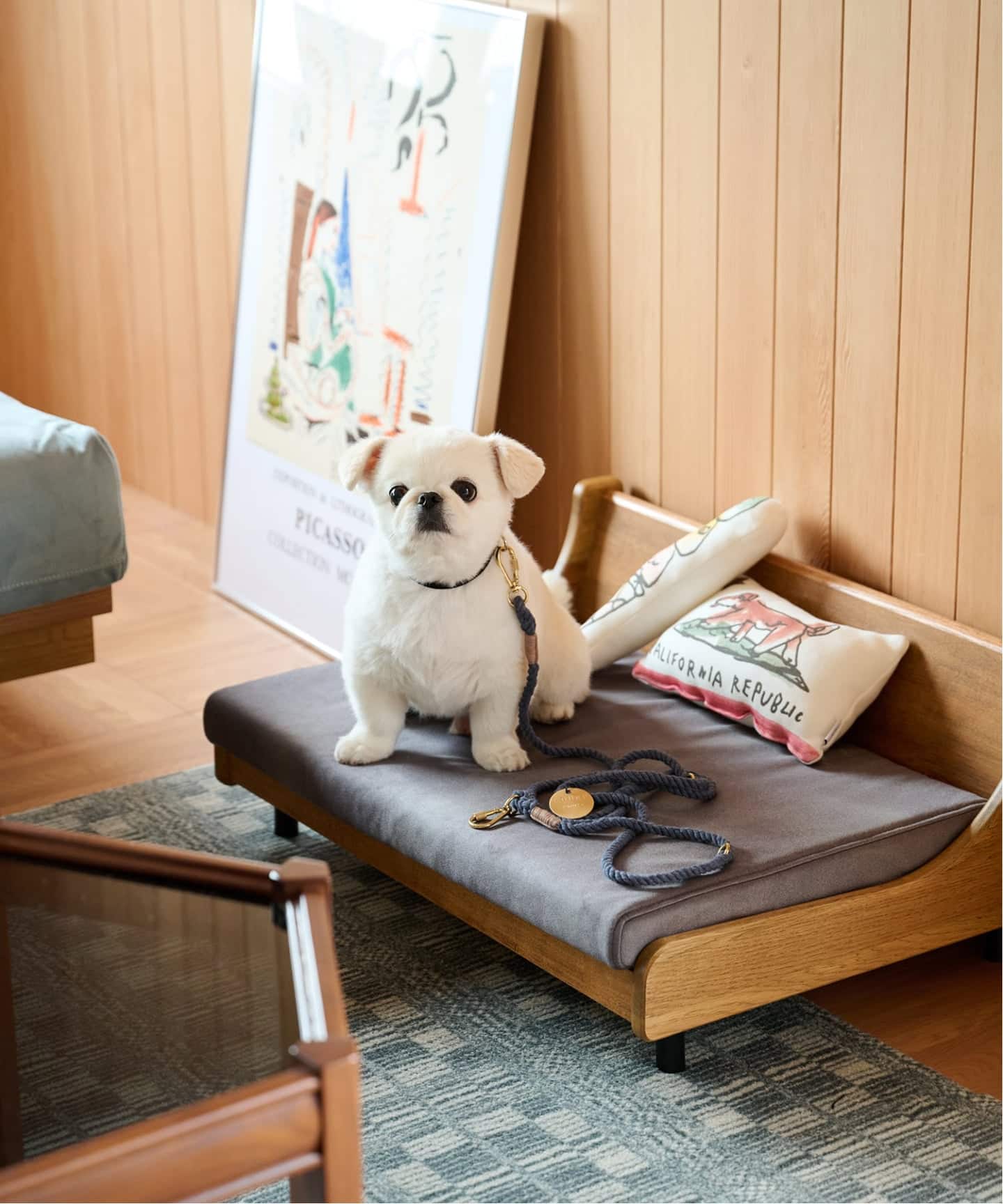 予約》【FOUND MY ANIMAL】ROPE LEASH 7FT 犬用 リード