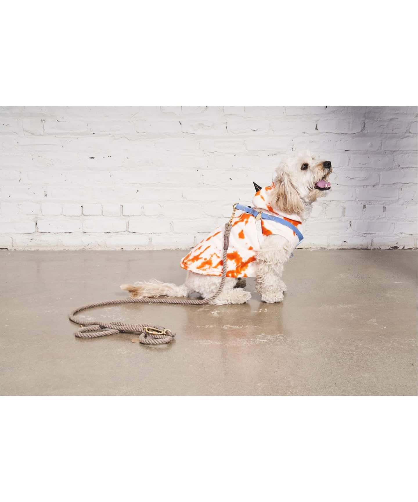 FOUND MY ANIMAL】ROPE LEASH 7FT 犬用 リード（ステーショナリー