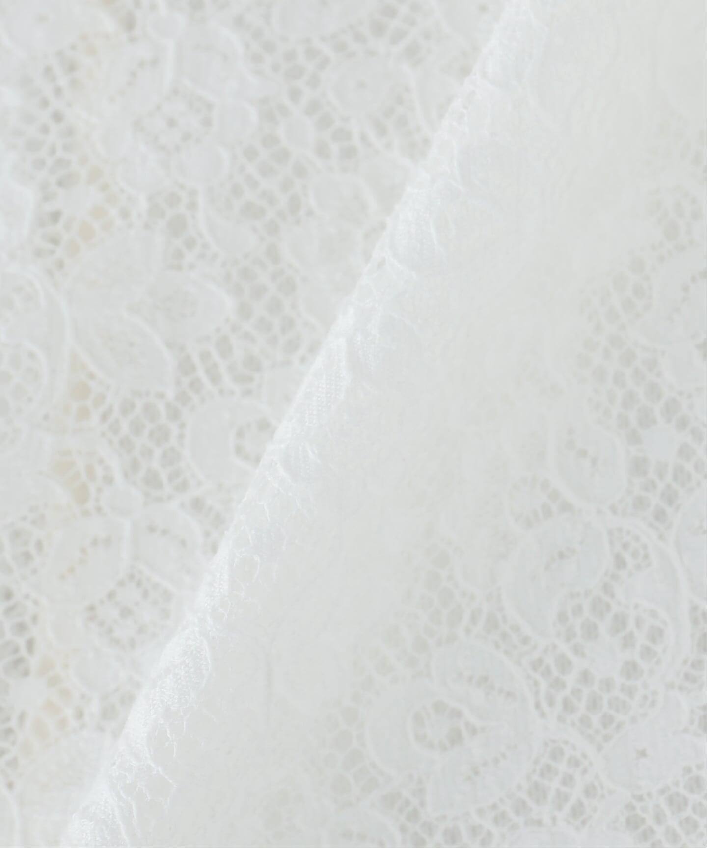 Heriter/エリテ Valenciennes lace BL ブラウス H1-26-3001（シャツ
