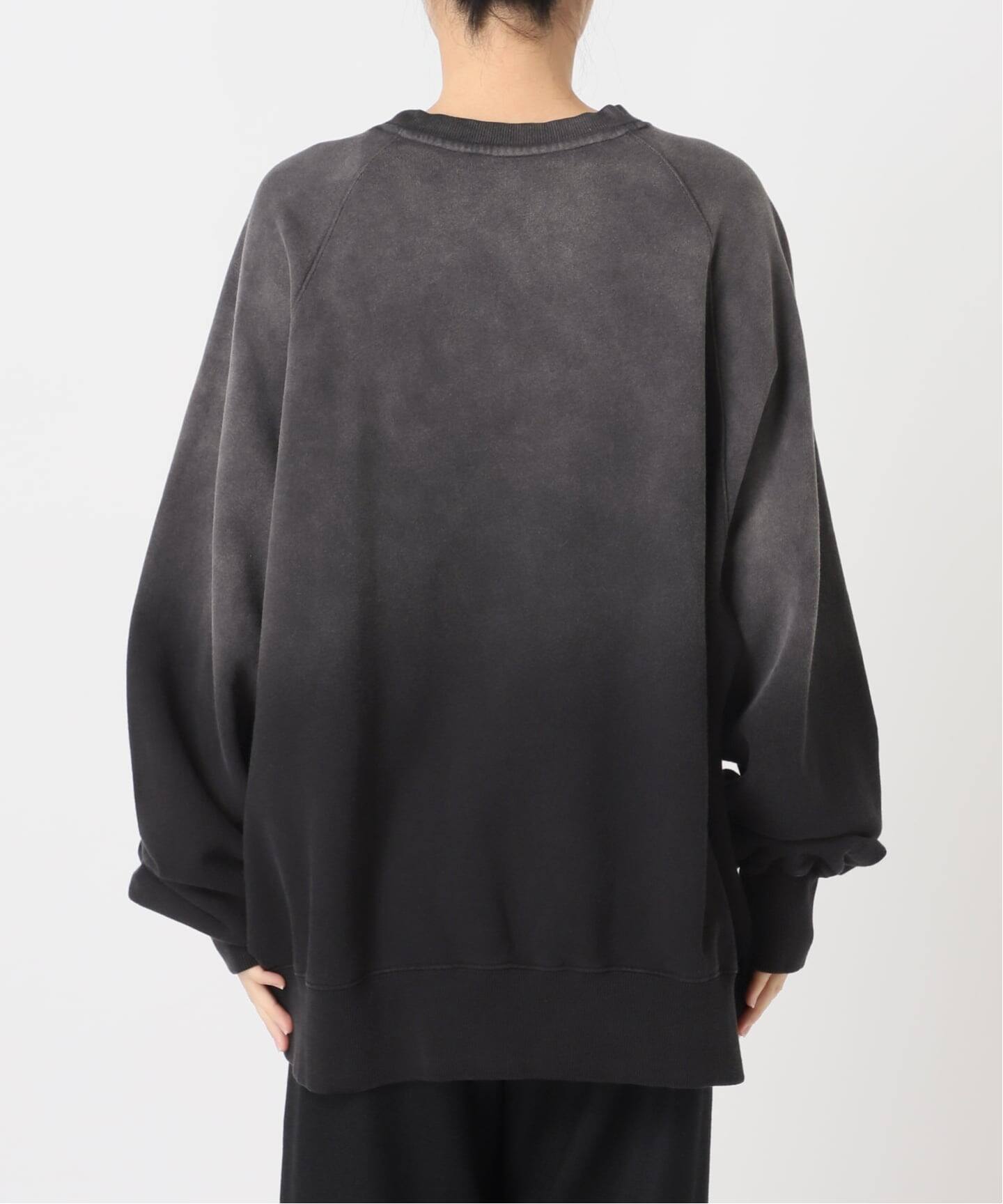 予約》FRUIT OF THE LOOM 別注 crewneck スウェット（スウェット