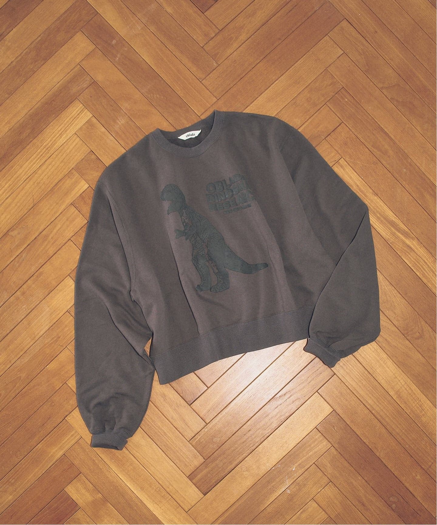 40周年 別注 / 予約》oblada / オブラダ DINOSAUR SWEAT（スウェット