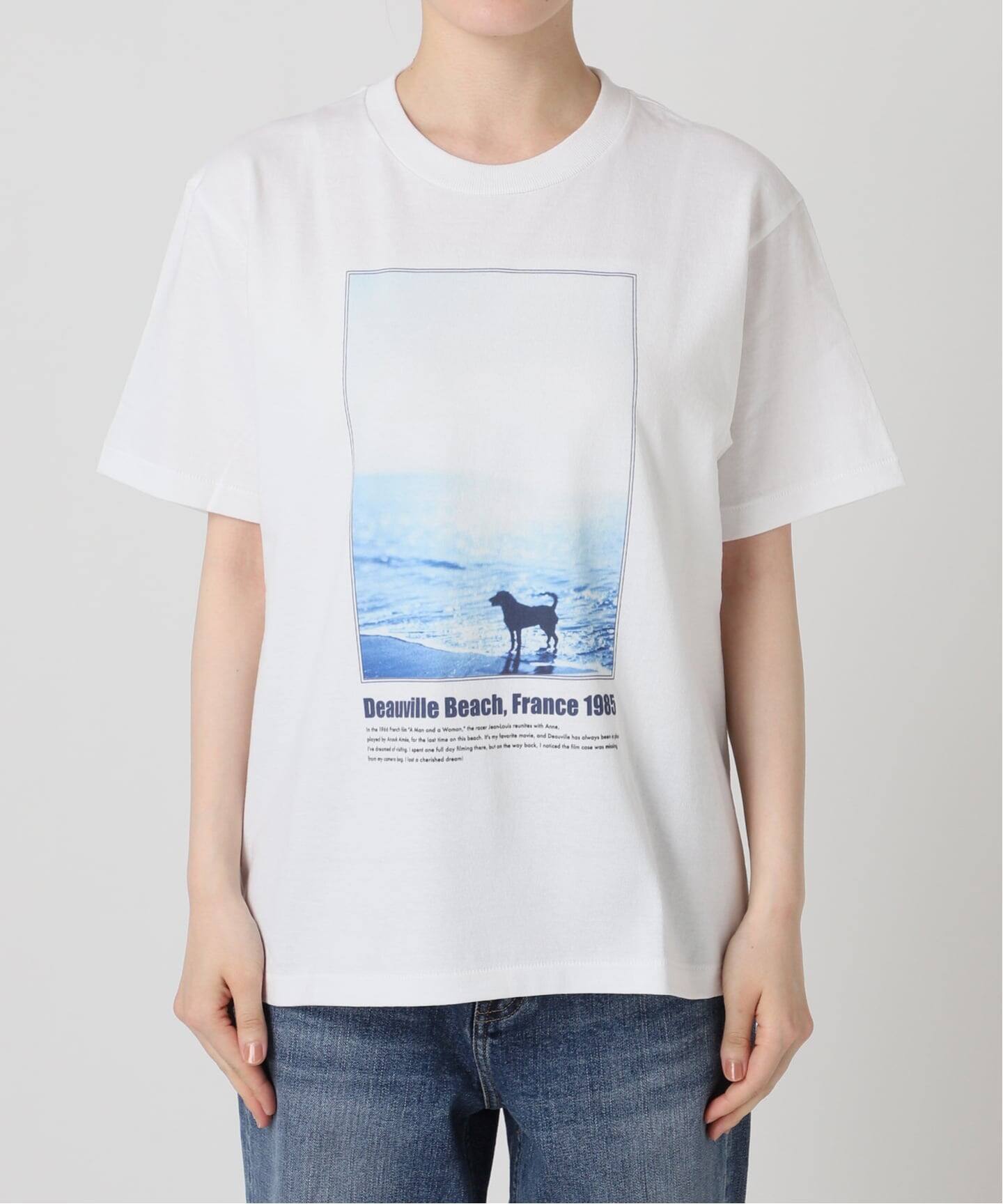 OFF SESSION / オフ セッション PHOTO Tee（Tシャツ／カットソー