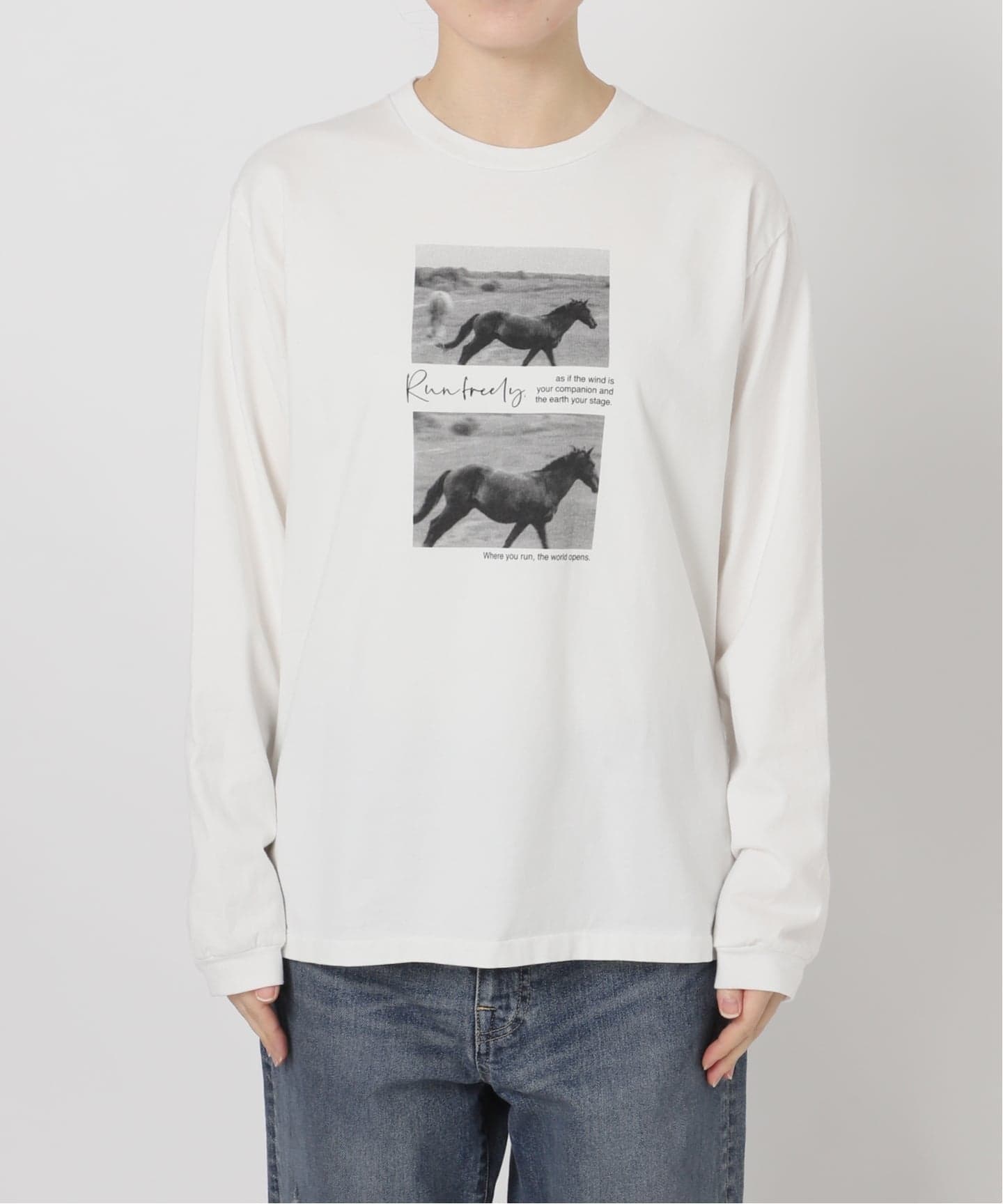 ホースフォトロングTシャツ（Tシャツ／カットソー）｜FRAMeWORK
