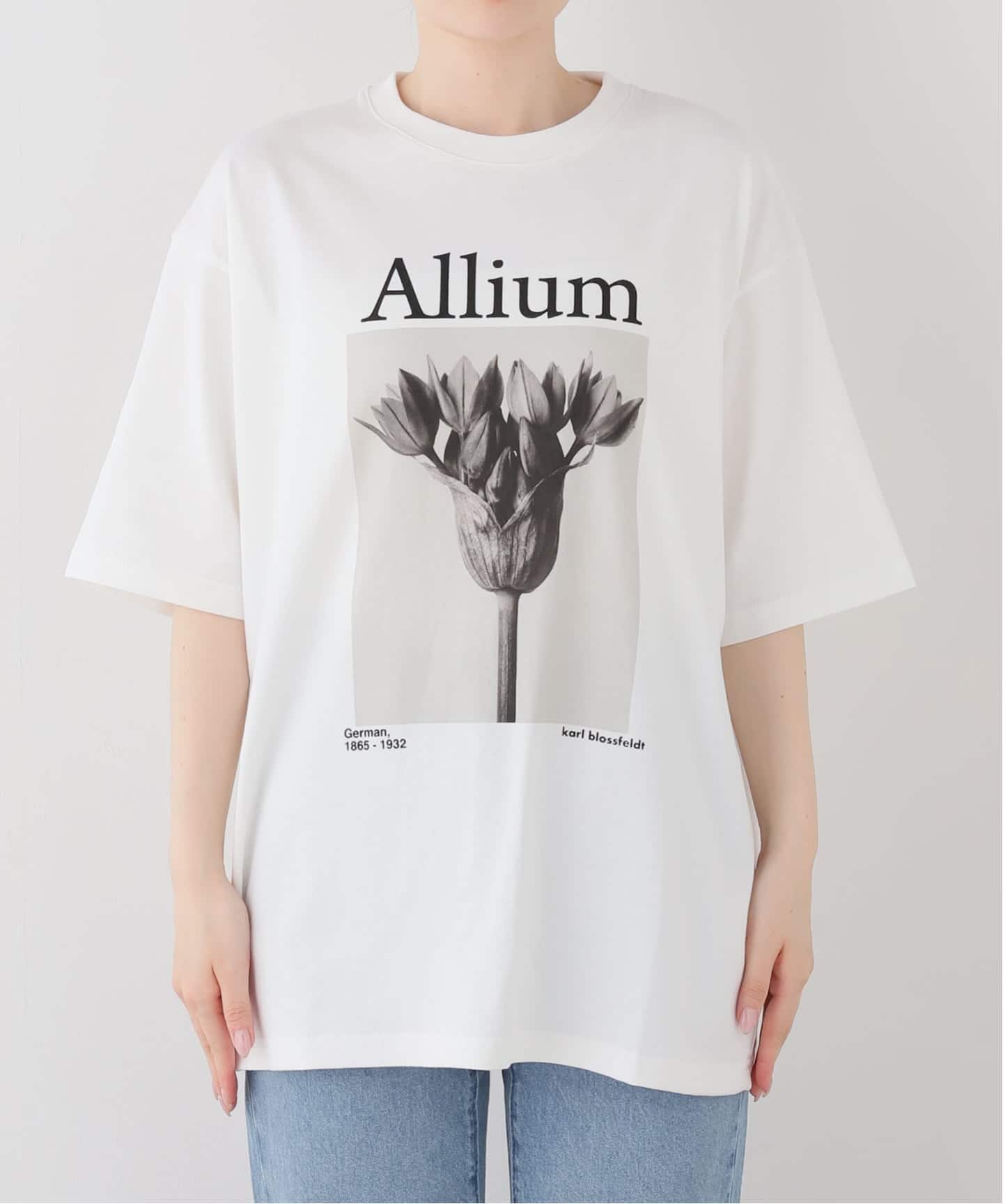 JOHNBULL/ジョンブル karl blossfeldt alium T（Tシャツ／カットソー