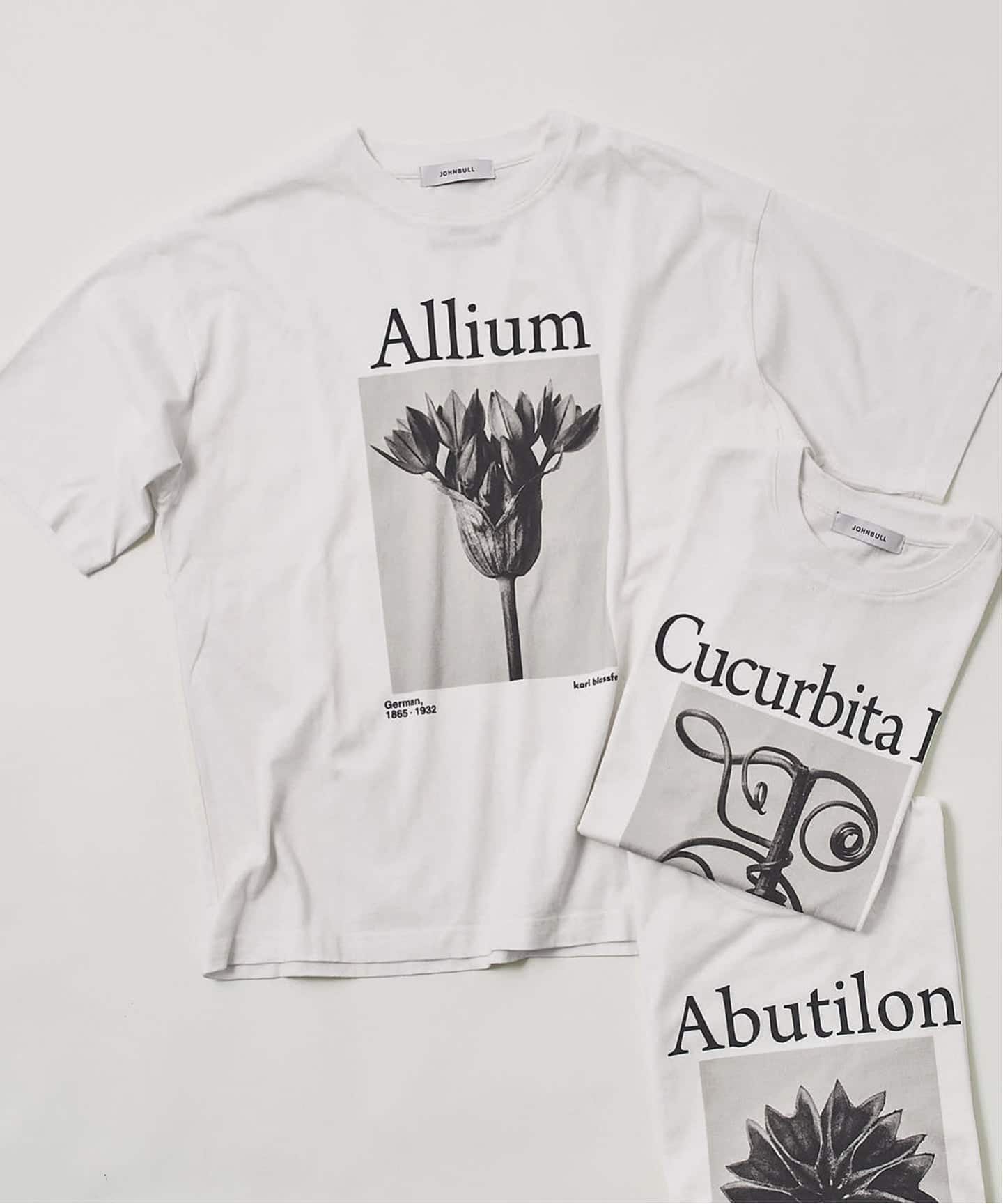 JOHNBULL/ジョンブル karl blossfeldt alium T（Tシャツ／カットソー