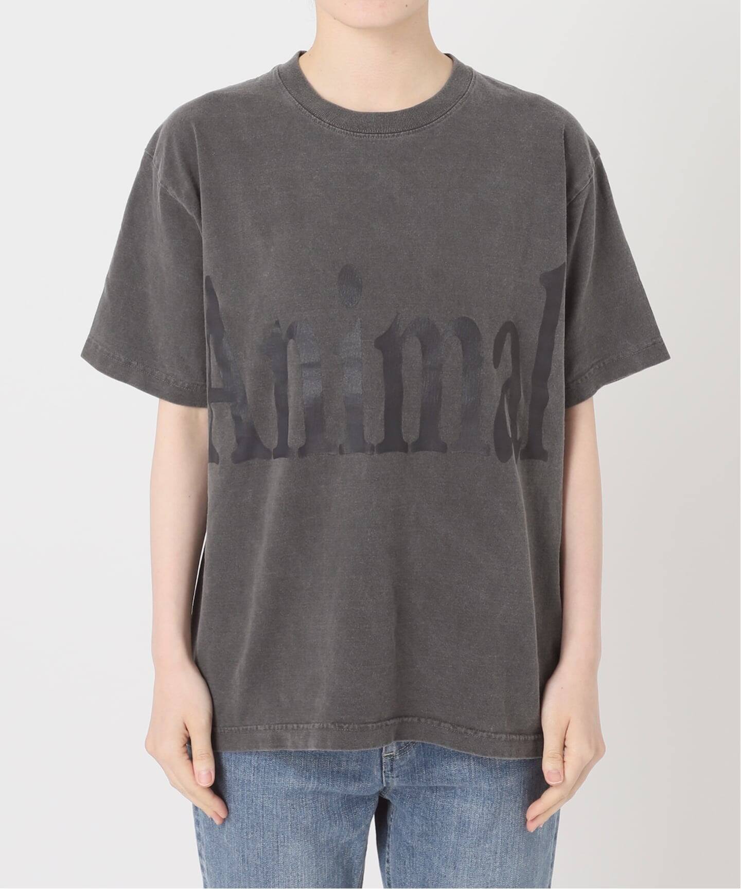 ≪新色 / 追加予約≫STUDIO ANIMALS 別注Animals Letter Tシャツ（T