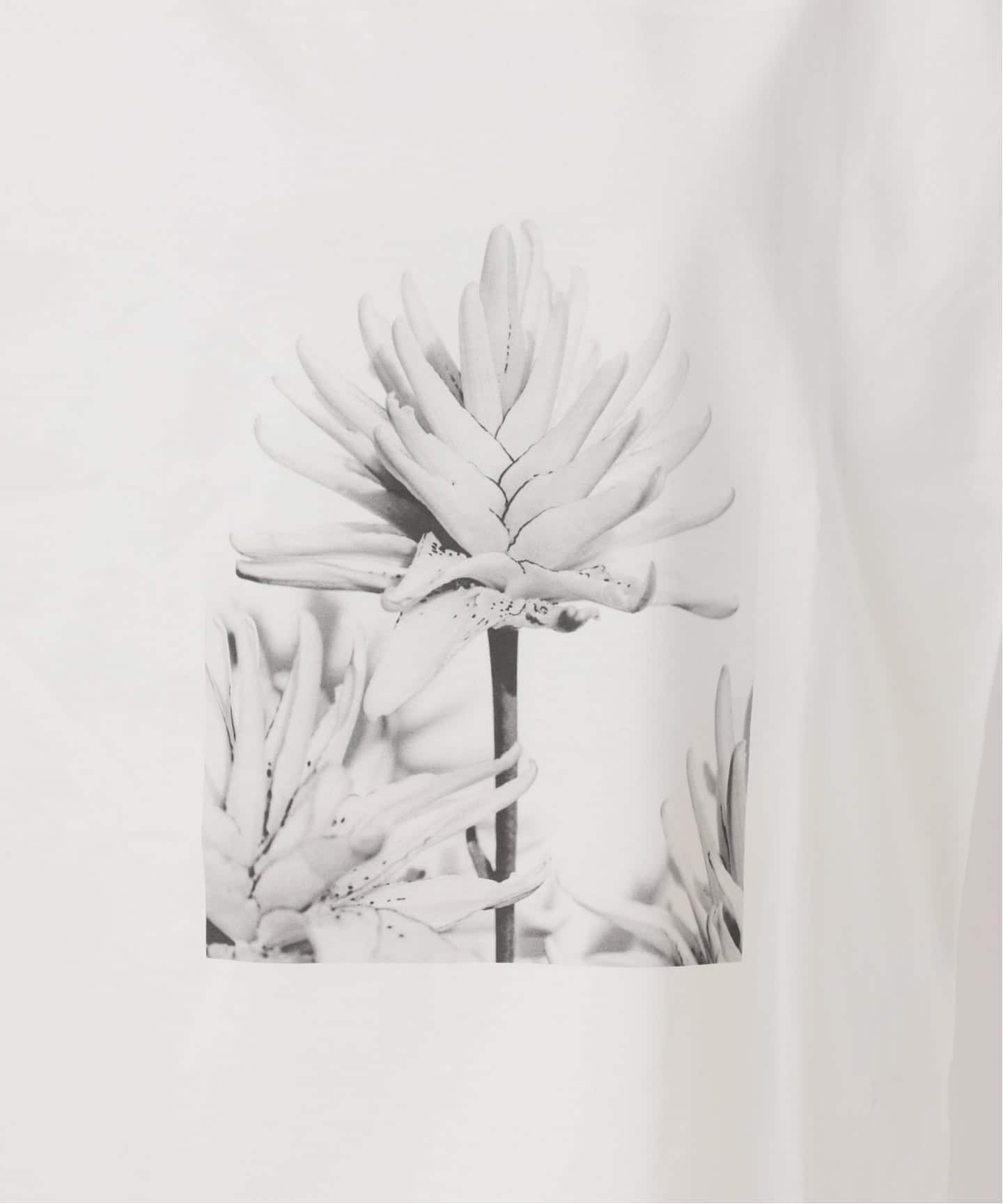 フラワーフォトプリントT（Tシャツ／カットソー）｜NOBLE（ノーブル