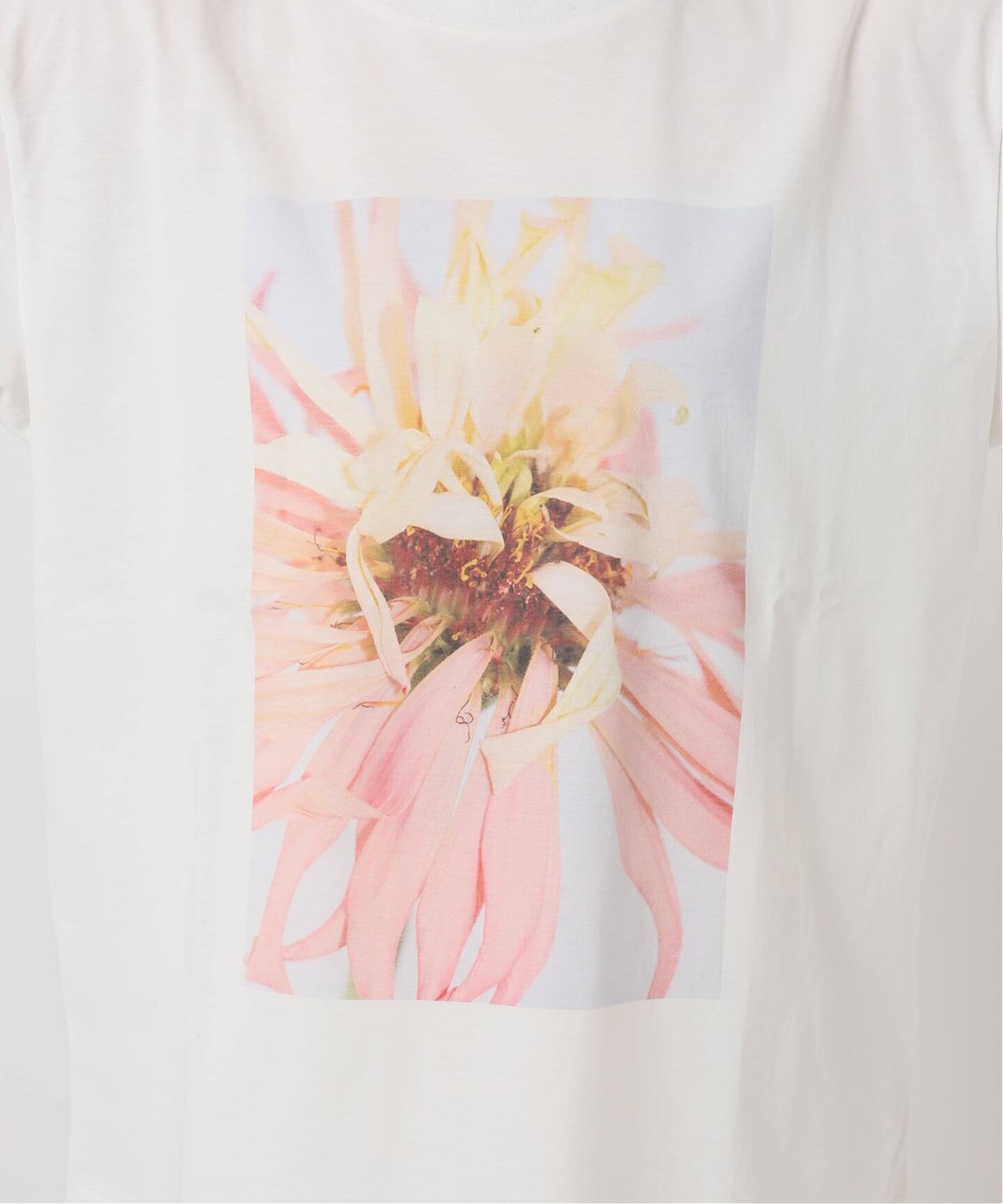 フラワーフォトプリントT（Tシャツ／カットソー）｜NOBLE（ノーブル