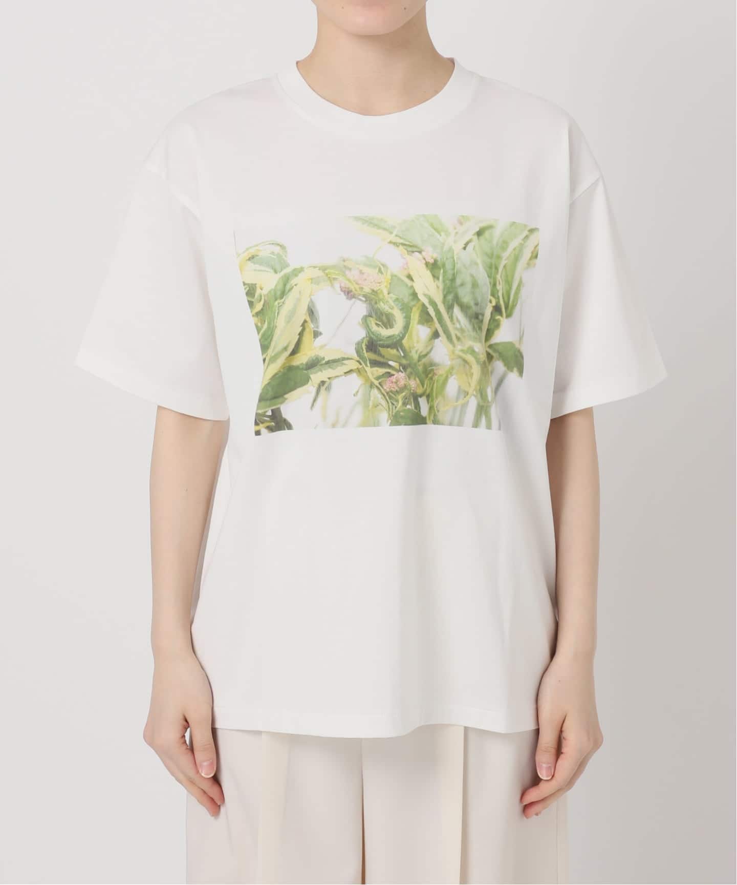 フラワーフォトプリントT（Tシャツ／カットソー）｜NOBLE（ノーブル
