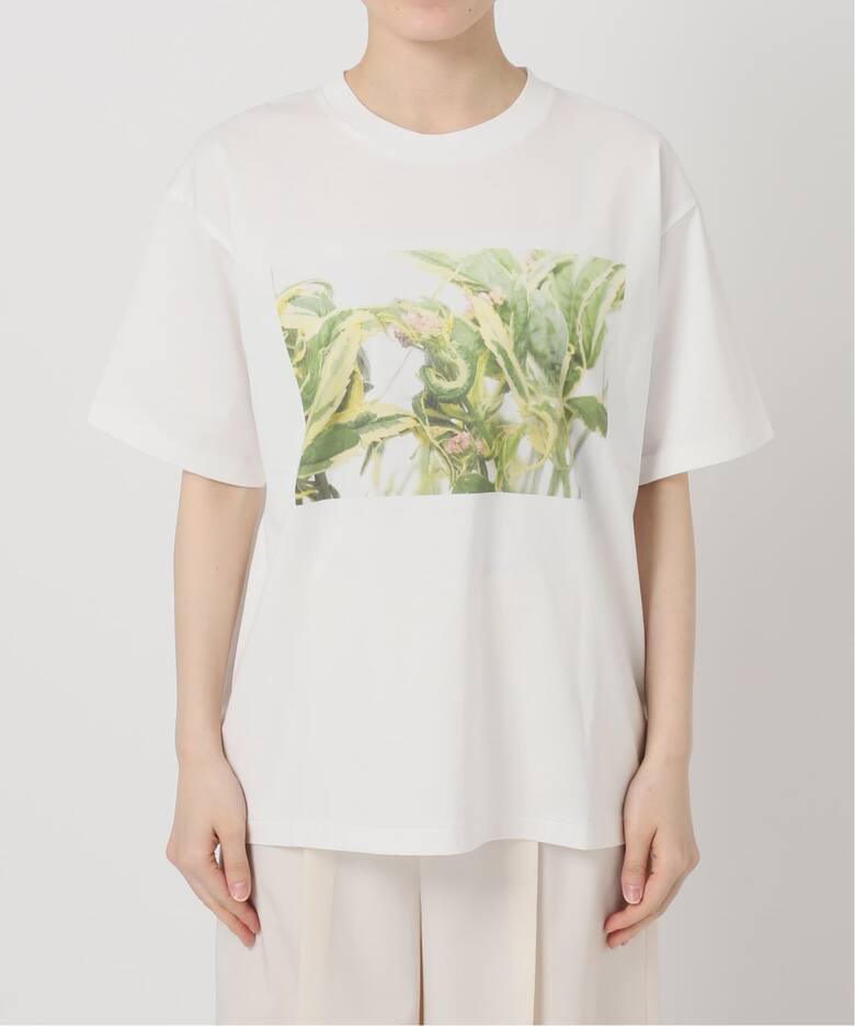 フラワーフォトプリントT（Tシャツ／カットソー）｜NOBLE（ノーブル 
