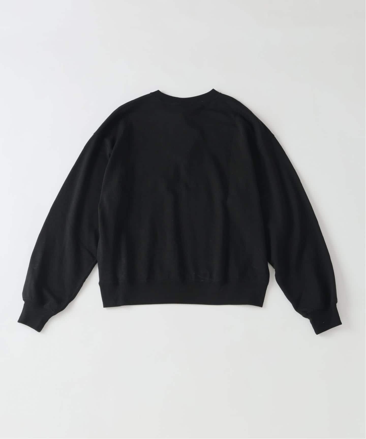 予約》Champion / チャンピオン for EDIFICE「L.W.D.」Crew Sweat