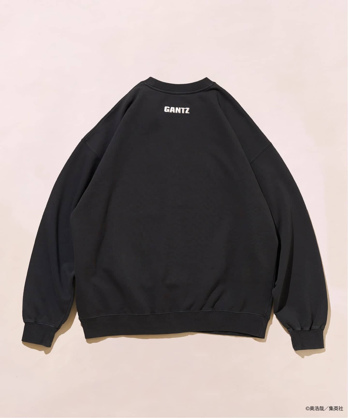 GANTZ / ガンツ 417別注 COLORWORKS スウェット（スウェット）｜417
